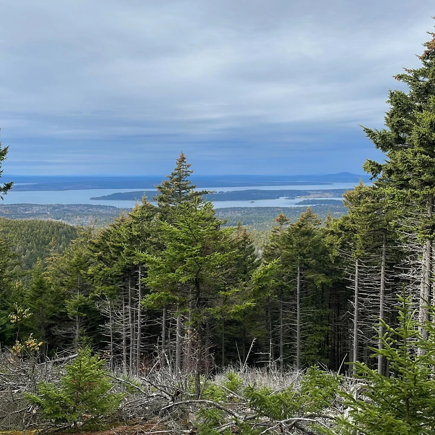 The off season means more time to enjoy our beautiful island. Here I&rsquo;m at one of the new vistas on the quiet side about 15mins from the winery. 

#barharborwinery #acadianationalpark #hiking #wine #mainewine #offseason #gorgeous