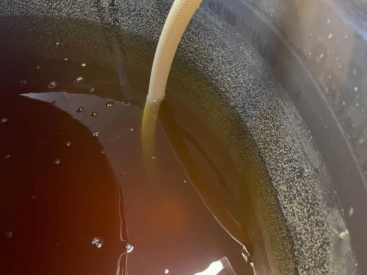 We are rich, diamonds galore!!! 

Just kidding but a person can wish. Currently coarse filtering our 2025 Albari&ntilde;o and its well underway cold stabilizing, if not completed. 

Wine diamonds, known as tartrate crystals or an ingredient many know