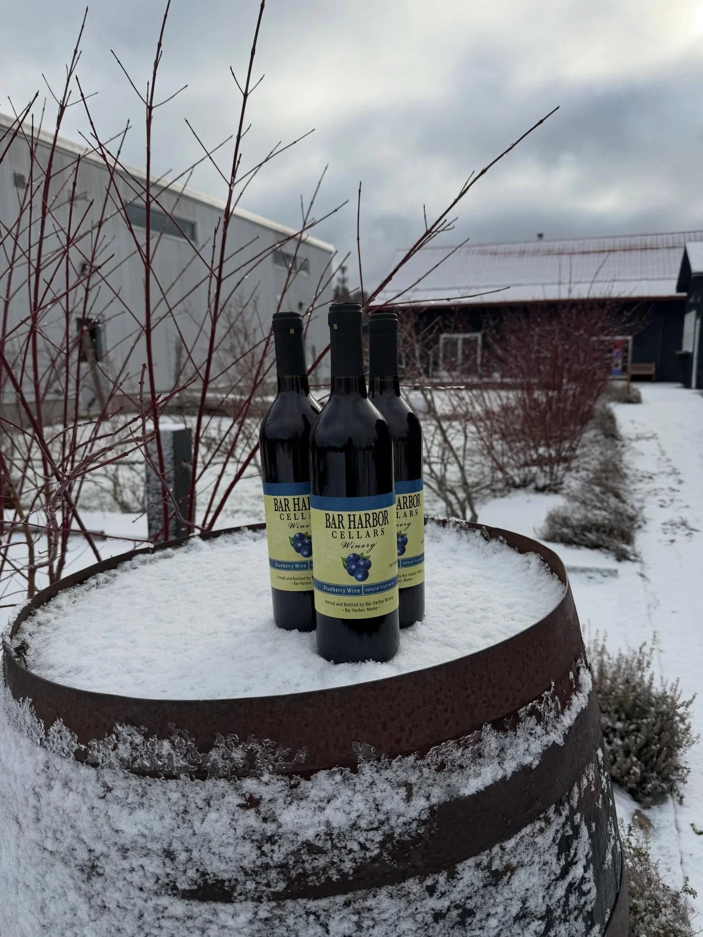 Blueberry 10% off online orders for the month of December! 

Happy Holidays everyone! With the weather getting a little cooler, some days even a bit treacherous, it&rsquo;s nice to be indoors and not out and about. Have our Blueberry delivered right 