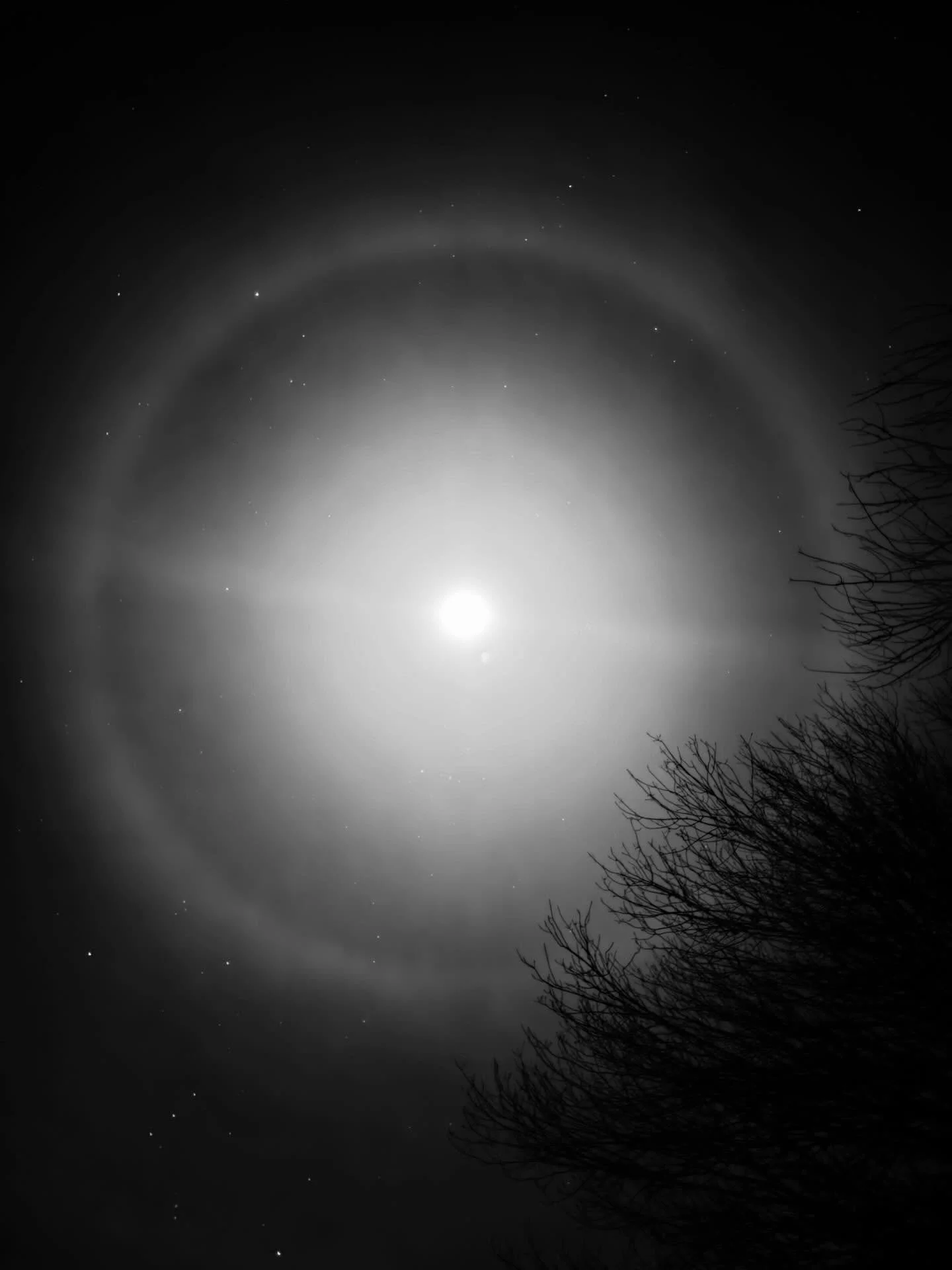 Happy New Years Everyone! May your glass be half empty and may we offer a little something to fill it in 2026. 

#barharborwinery #wine #acadianationalpark #moon #2026
