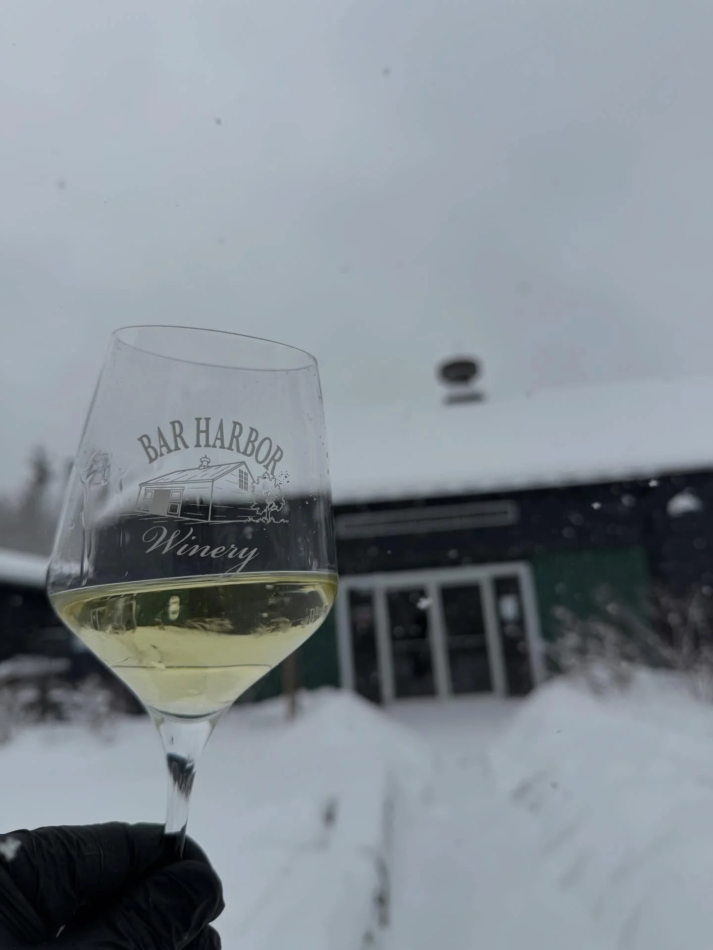 It do be snowing. Perfect time for some filtering!!

#barharborwinery #wine #snow #albari&ntilde;o #craft