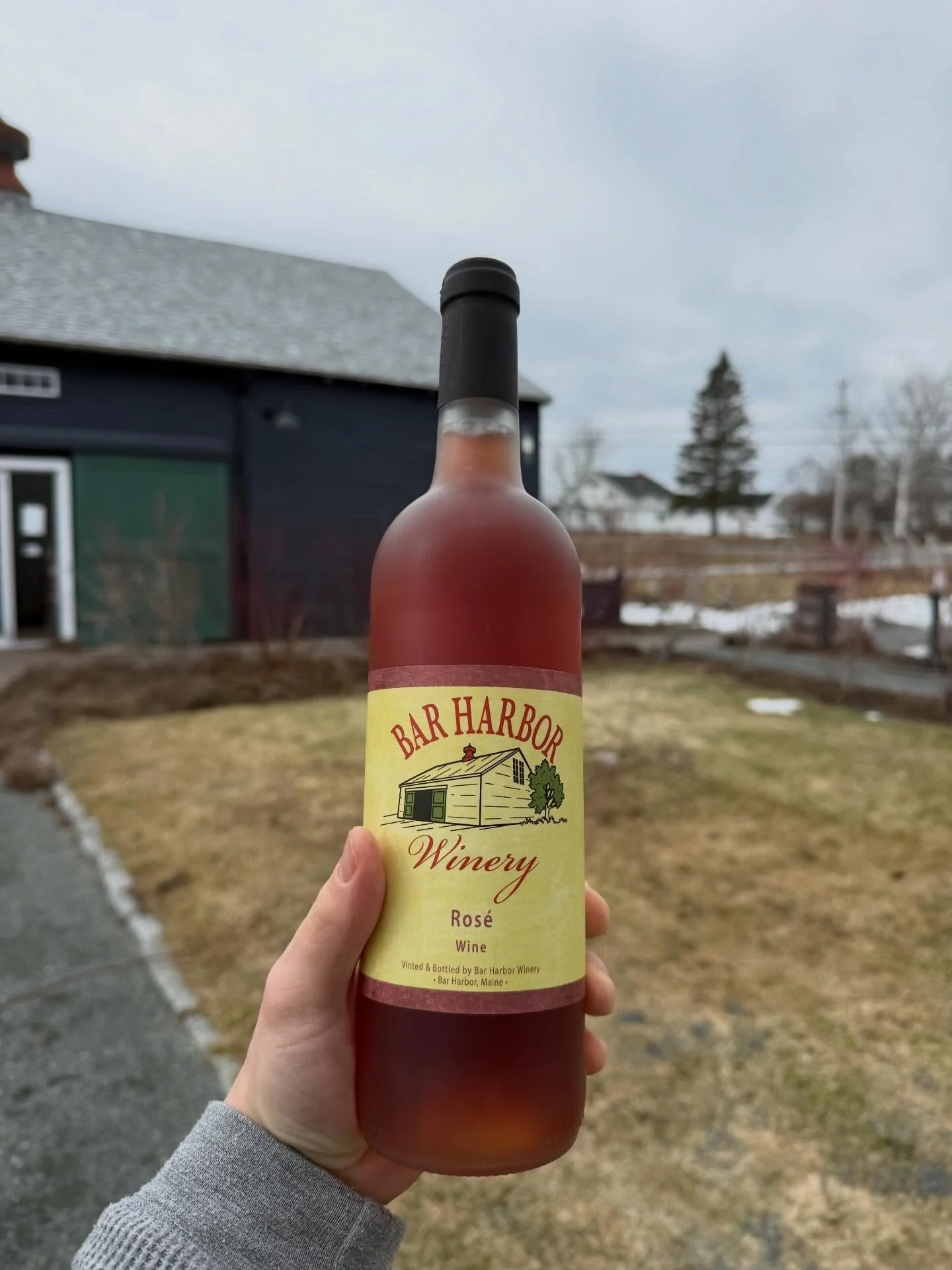 One of the first  2025 vintages nearly ready to hit the shelves, our Ros&eacute;. Similar to the 2024 vintage with greater complexity. This sure to be summer favorite comes through with notes of green apple and strawberry, with a smooth earthy finish