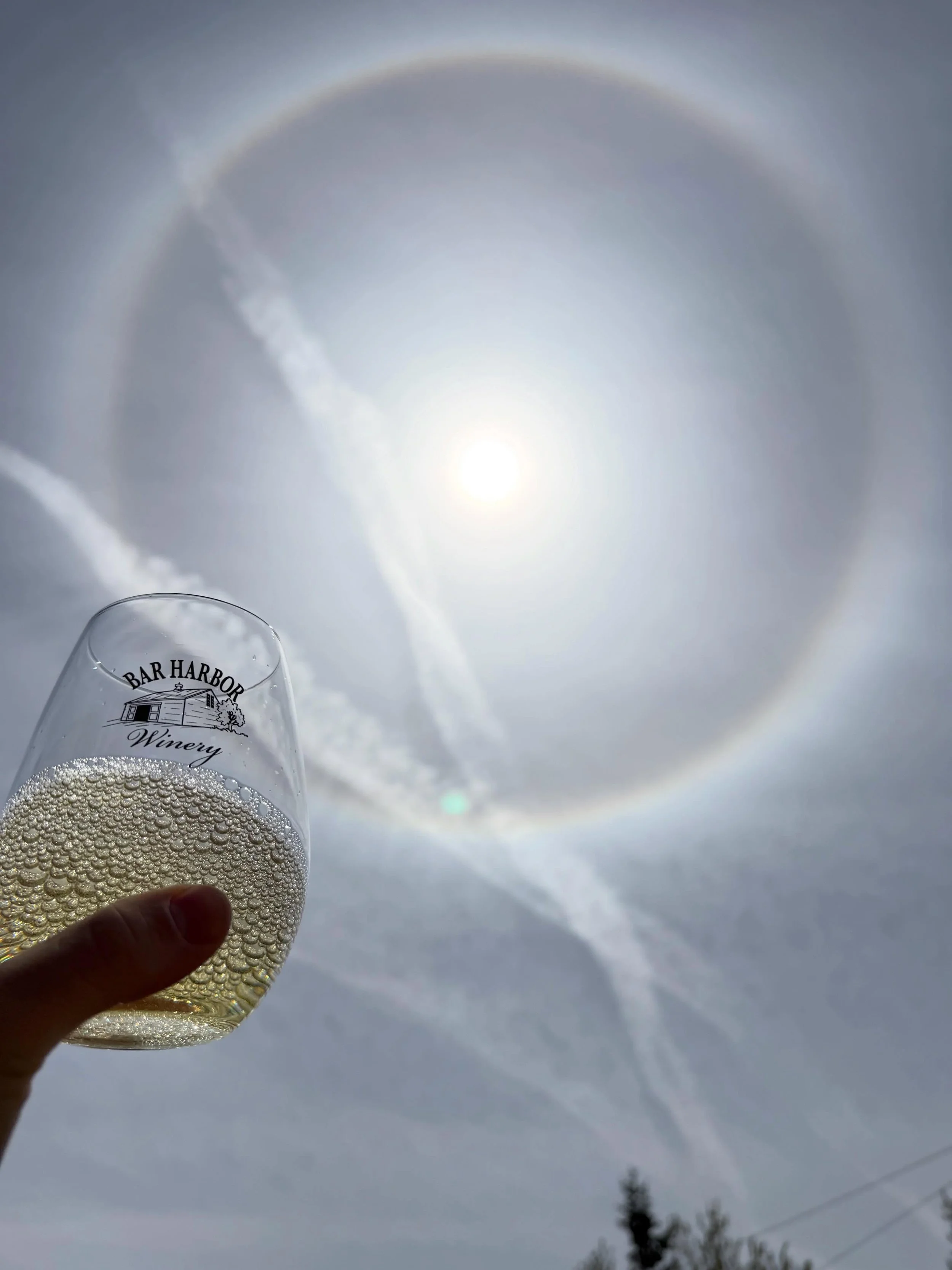 Here&rsquo;s your sign!!

#barharborwinery #solarhalo #majestic #maine #wine