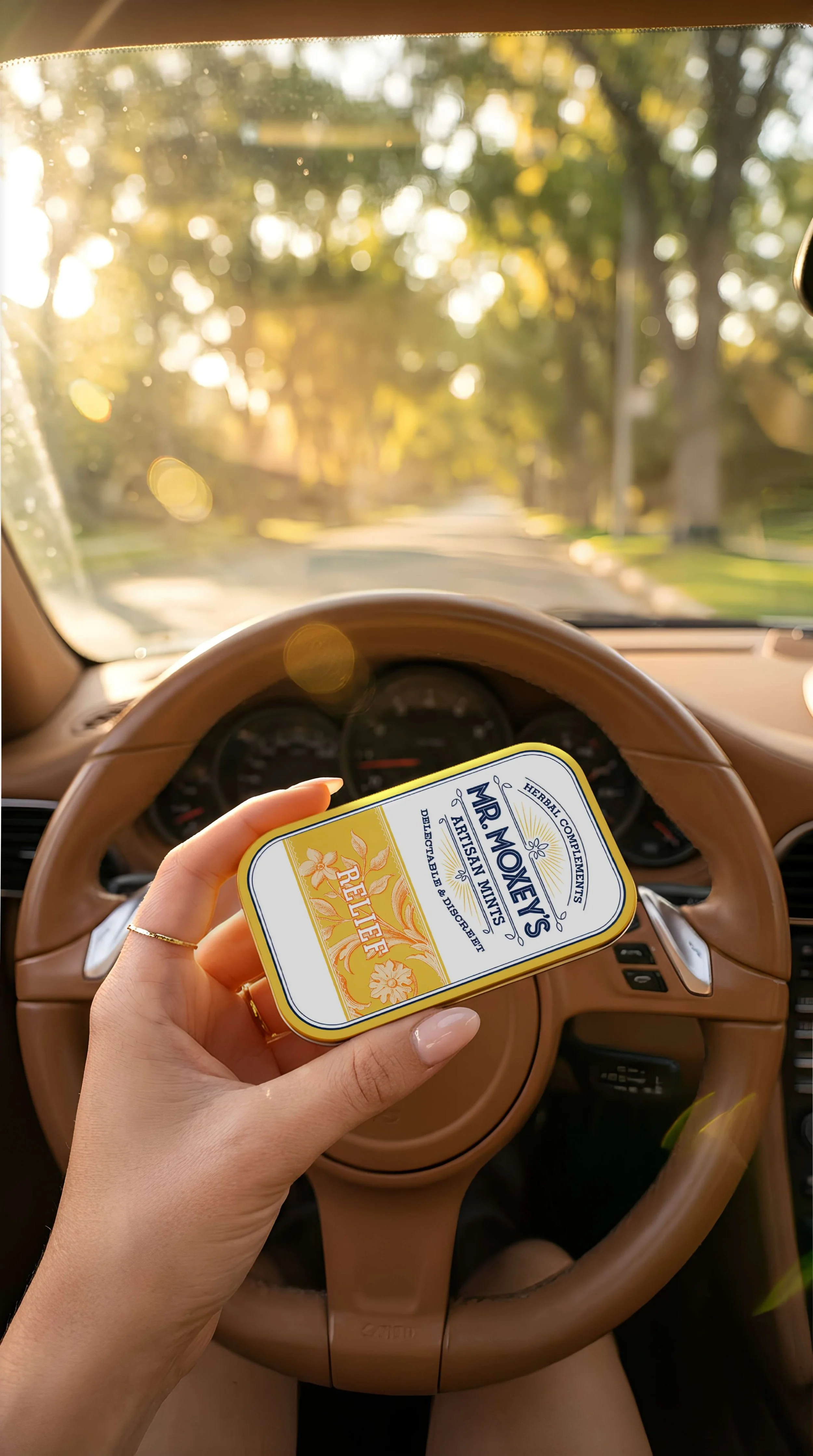 compressed_image (22).jpeg