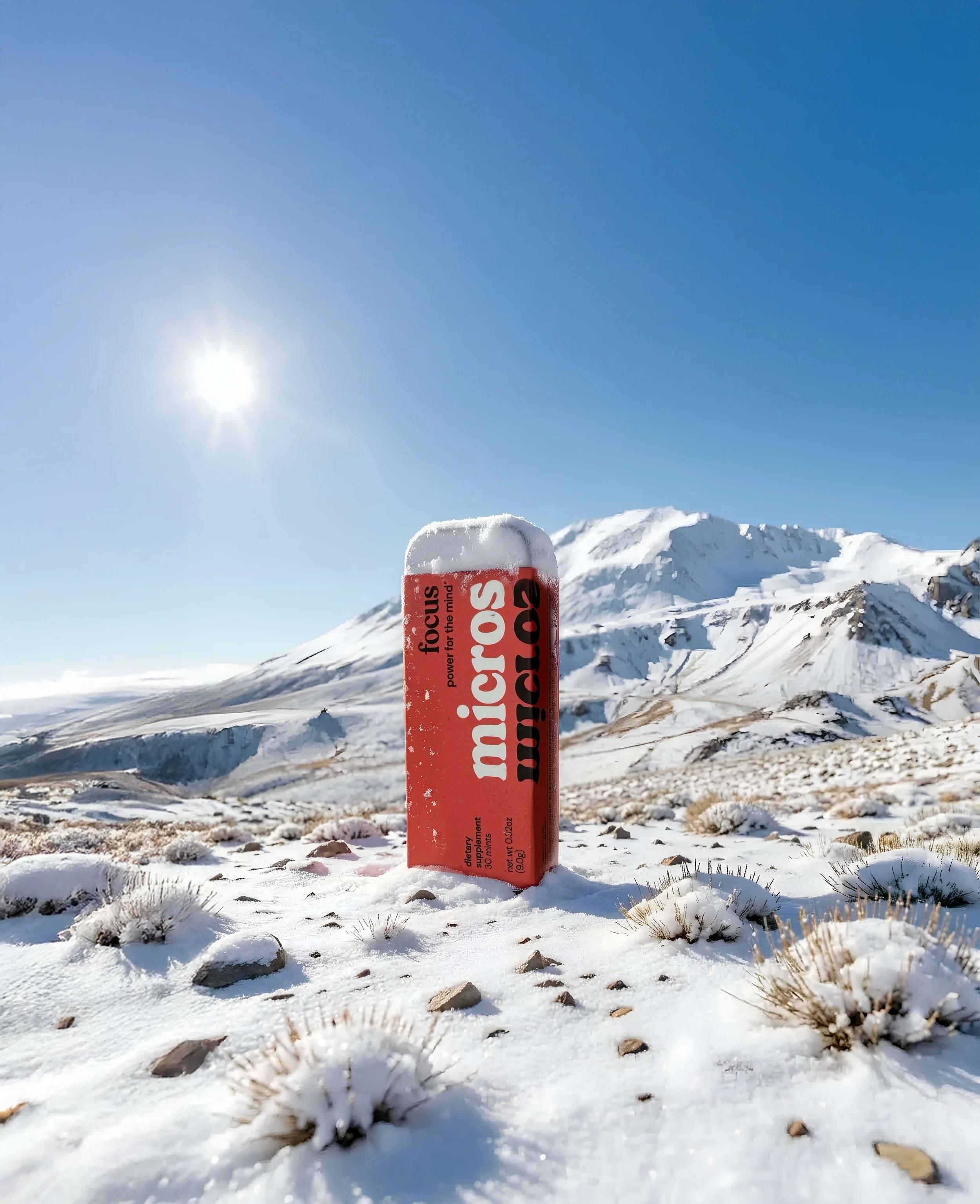 compressed_image (2).jpeg