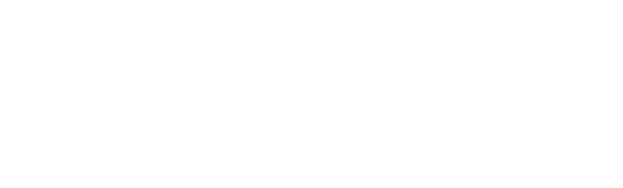 Lifestyle Health Solutions logo