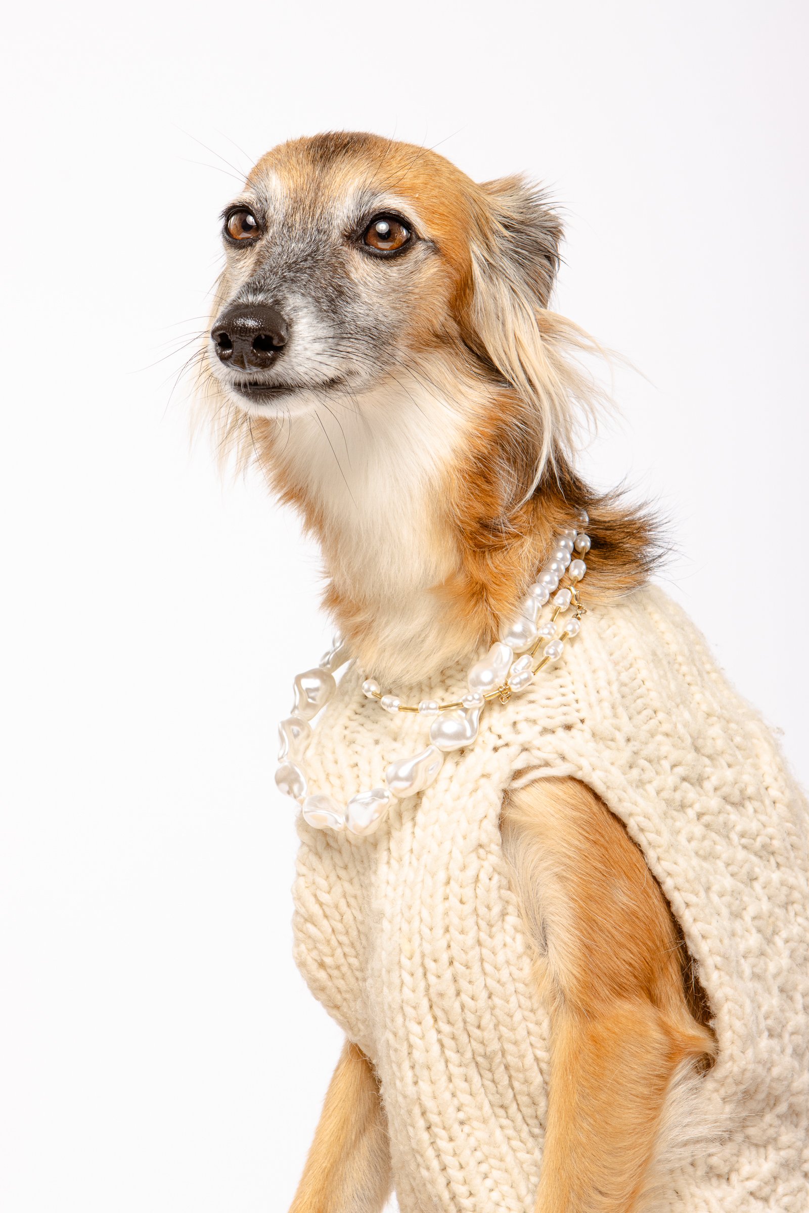 hazel for booking.jpg