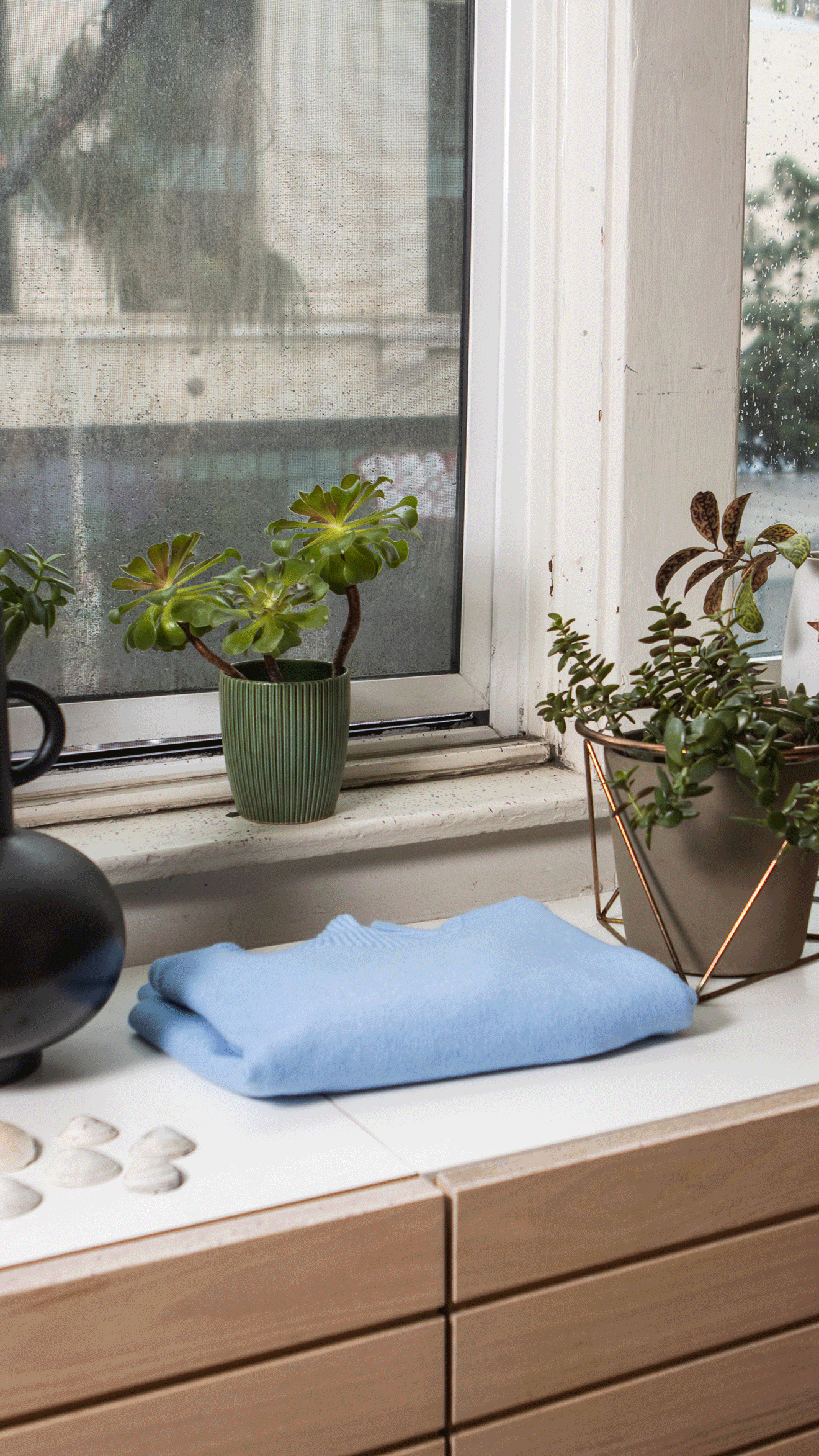 Sweaters-on-shelf.gif
