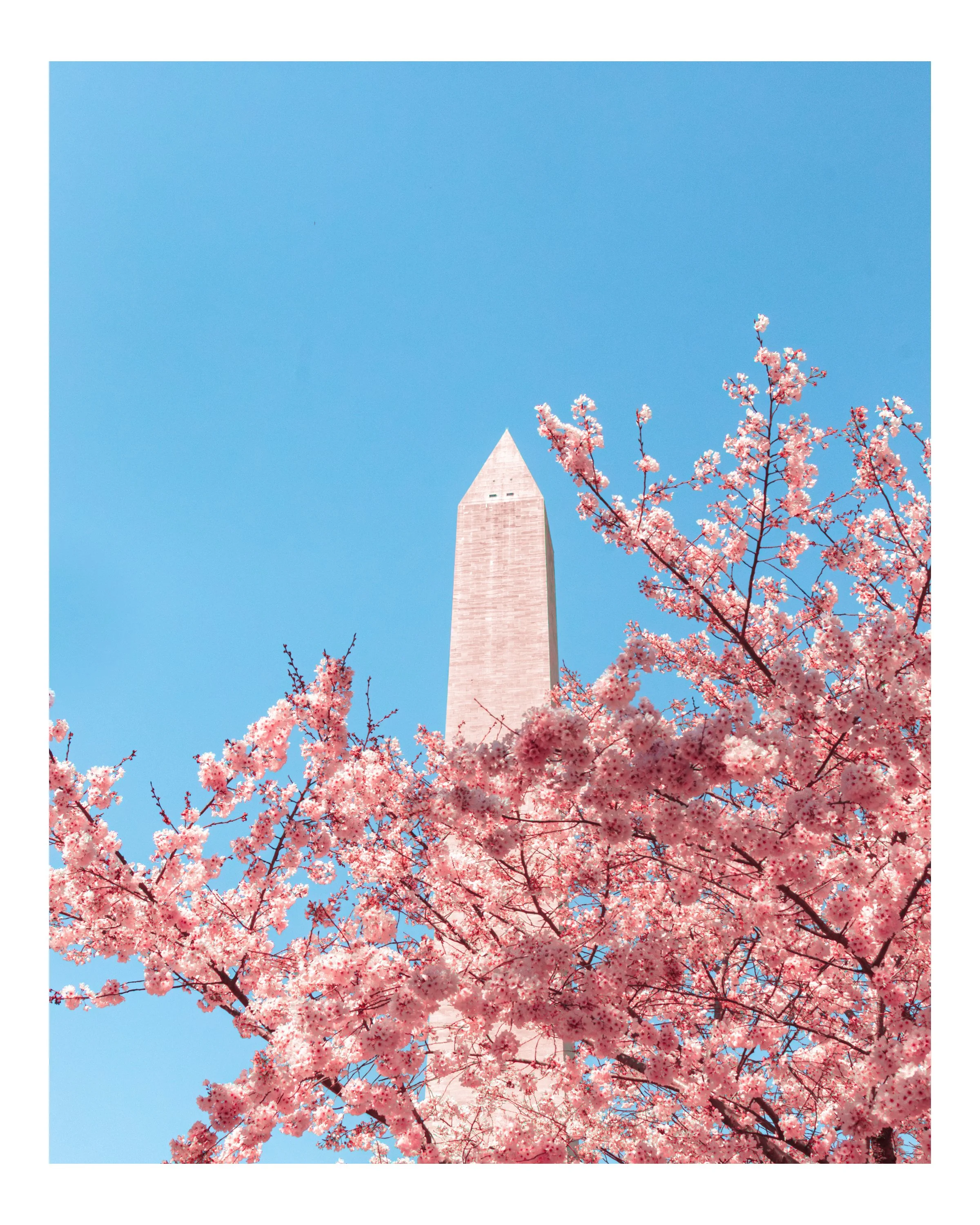 Blossom Monument_8x10.jpg