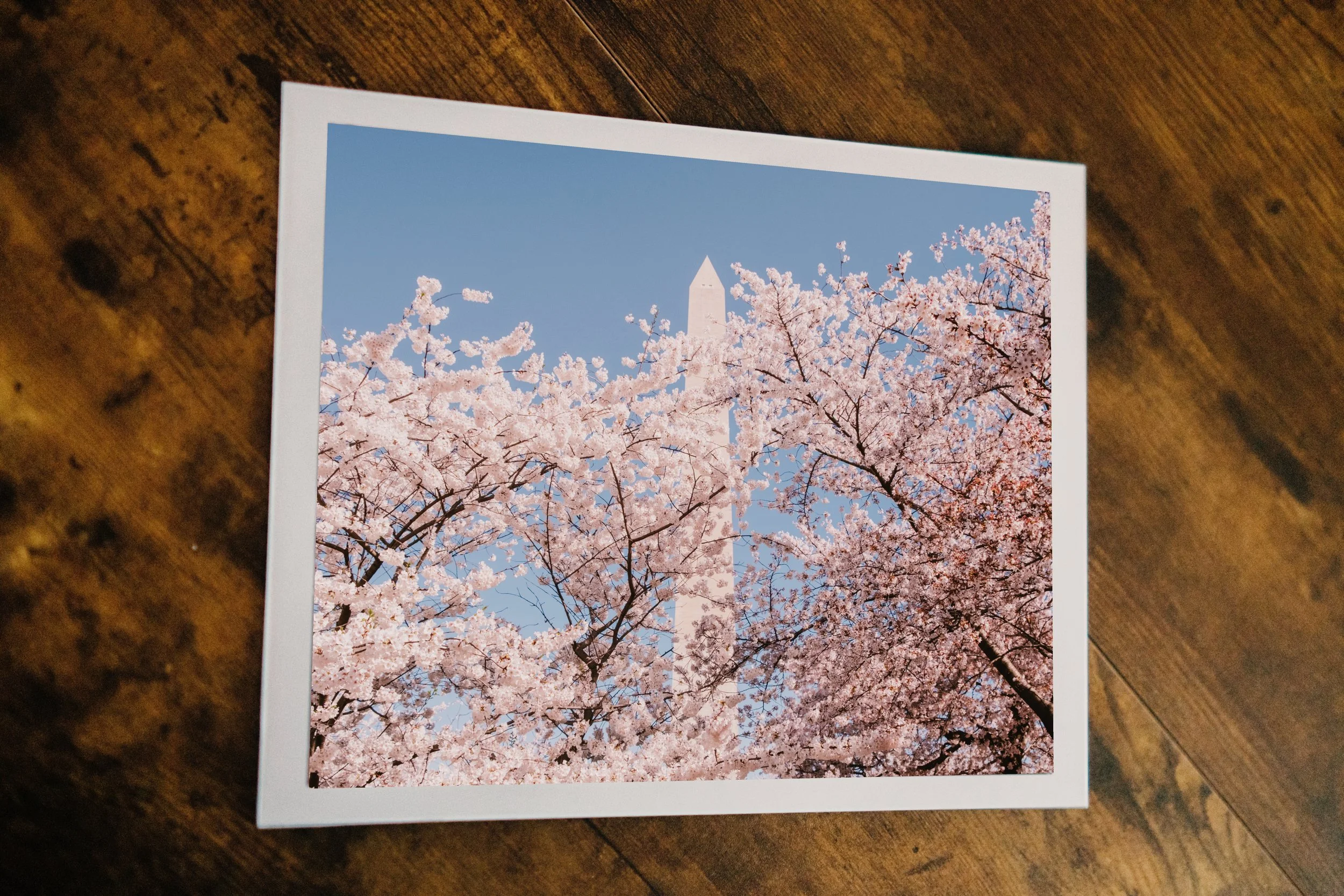 Blossom Monument 2_10x8.jpg