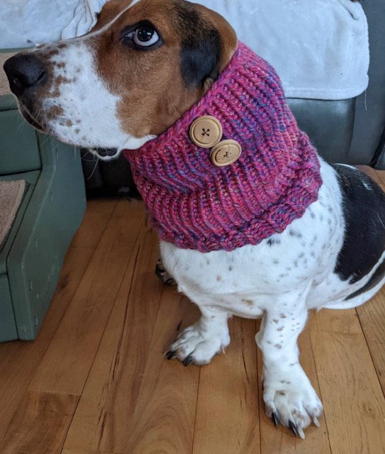 Generic Snood 2.jpg