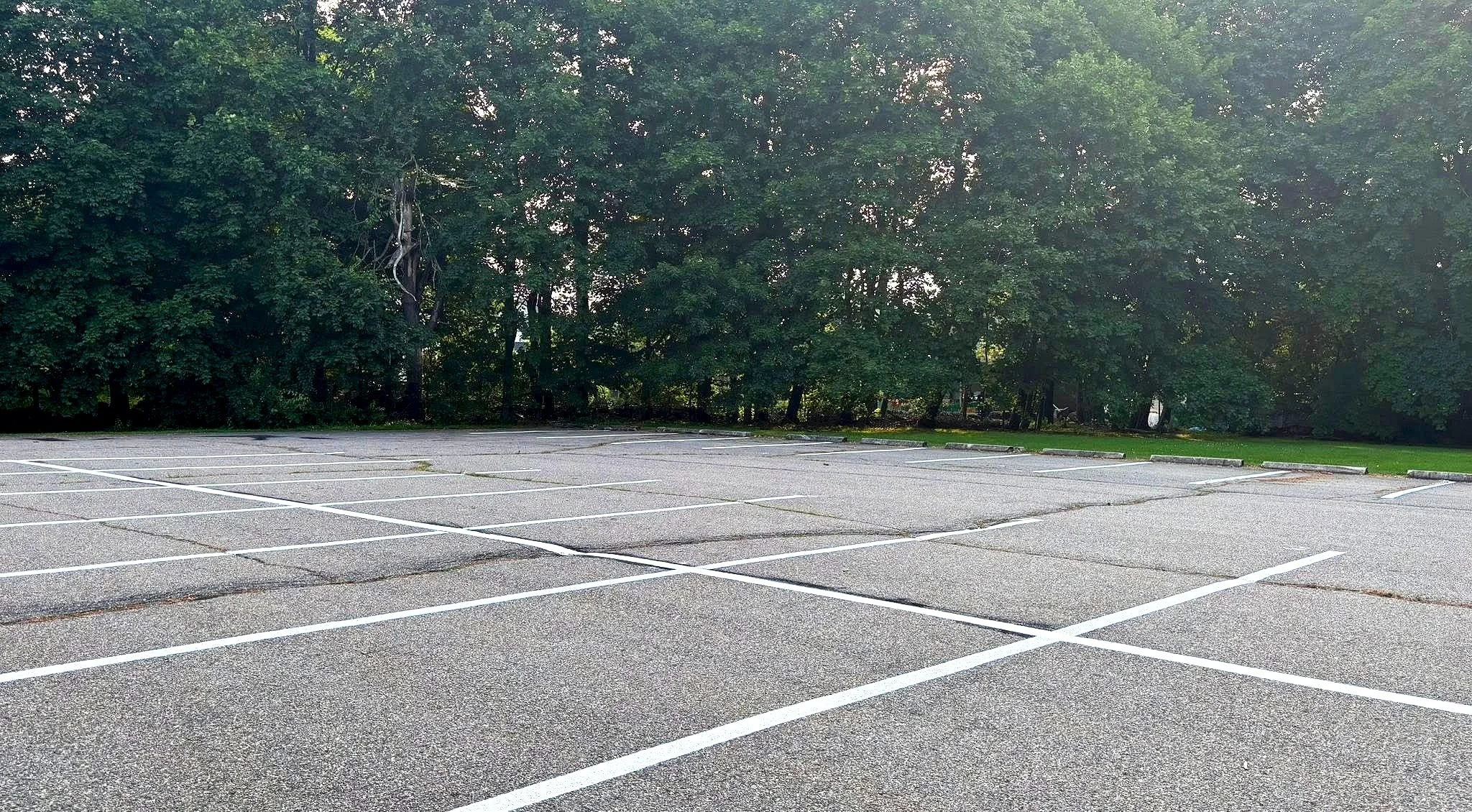 Empty parking lot with white lines and a background of lush green trees.