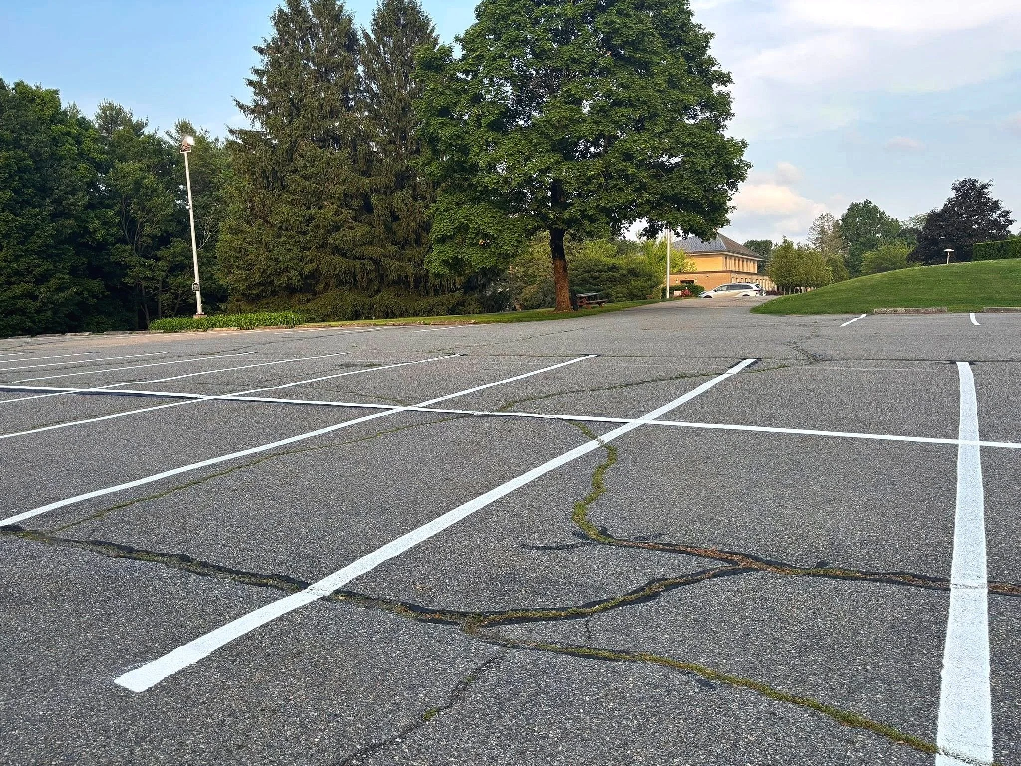 Empty parking lot with cracked asphalt and white parking lines, trees in the background, and a building in the distance.