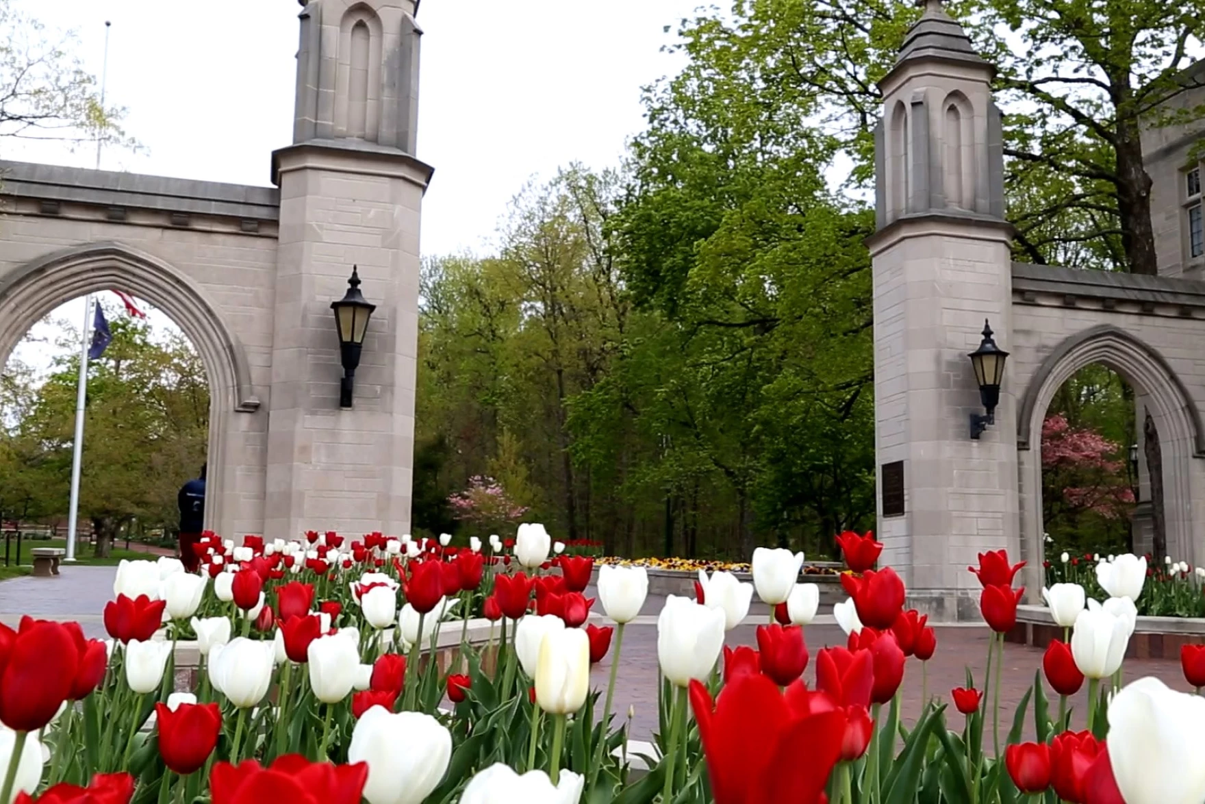 Indiana public colleges cut almost 20% of degrees