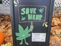 Indiana’s billion-dollar hemp industry at risk of going up in smoke