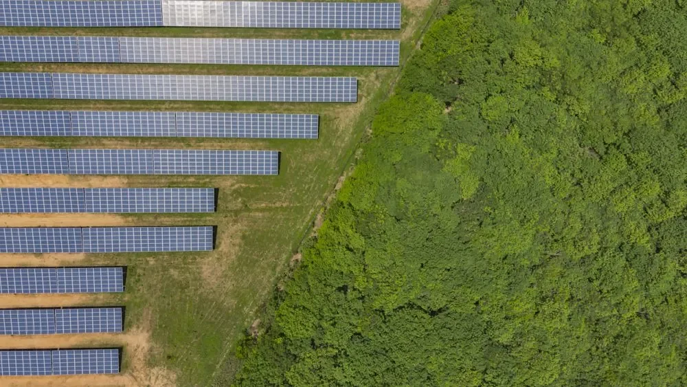 Farmers stunned by unexpected impacts of new solar and wind farm projects