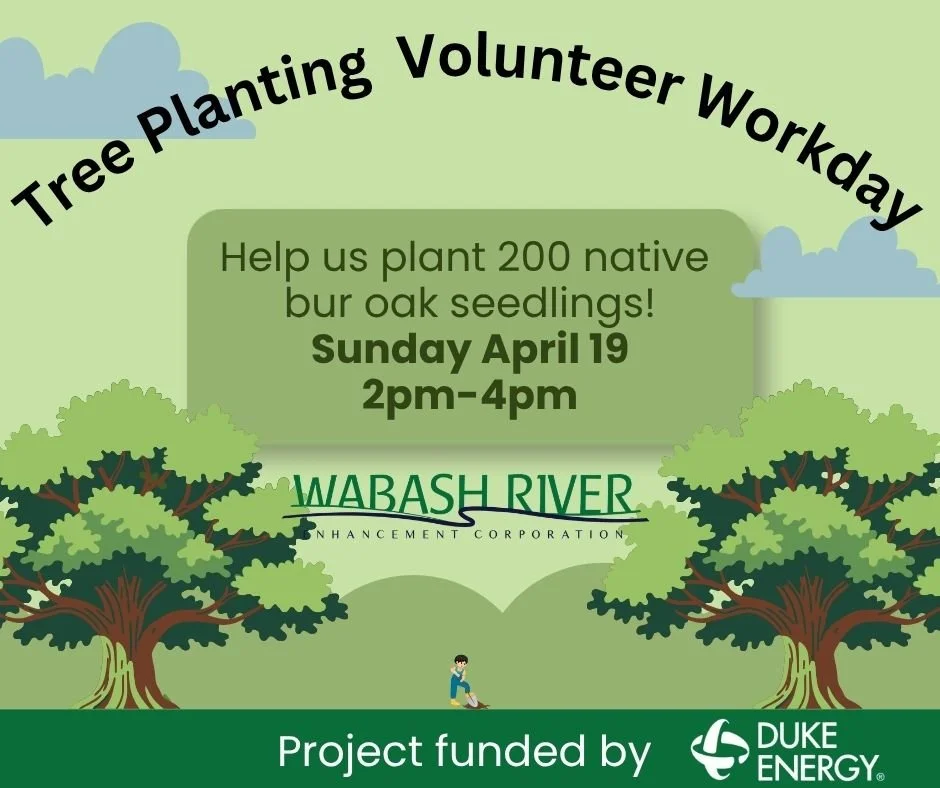 WREC Tree Planting