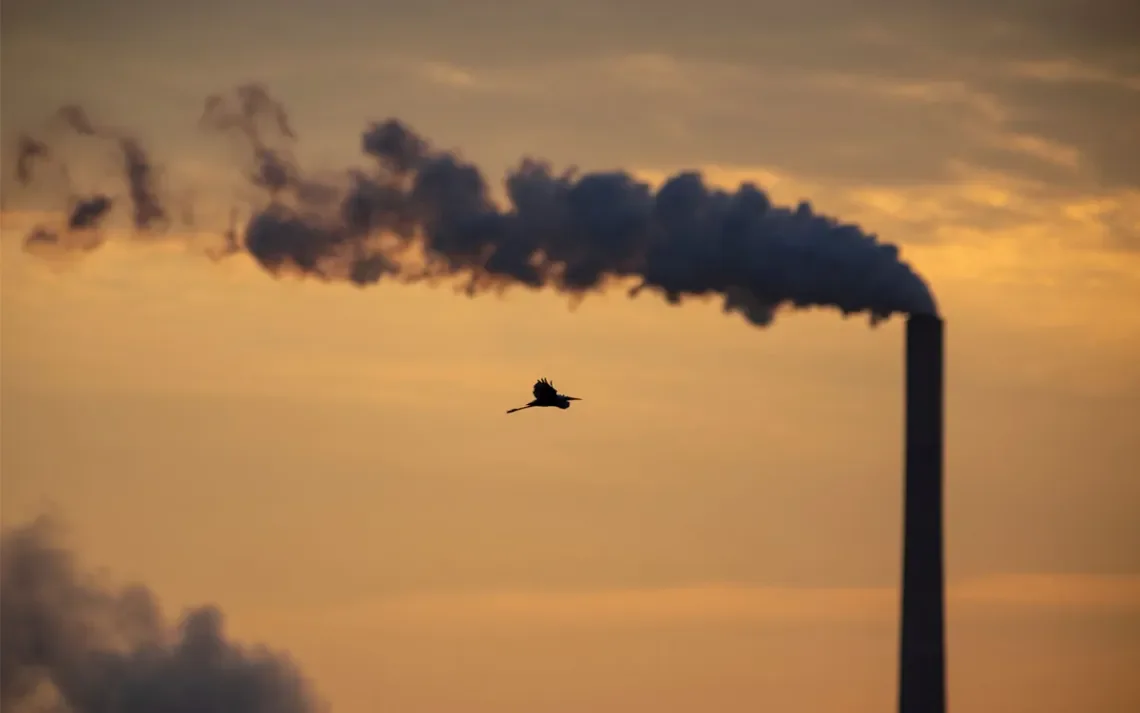 Indiana Communities Suffer Under Trump’s Coal Ash Rollback