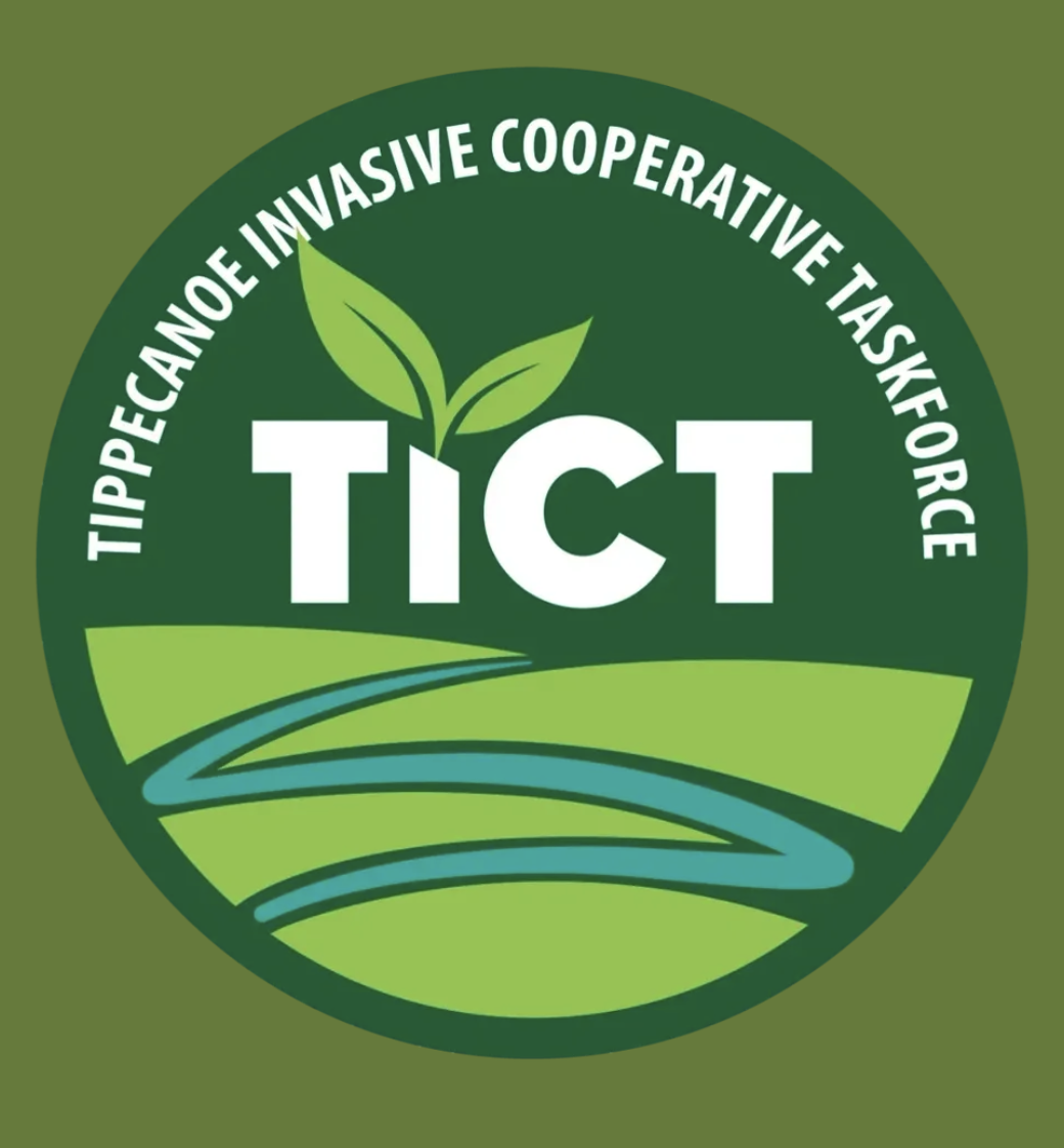 TICT: Weed Wrangle