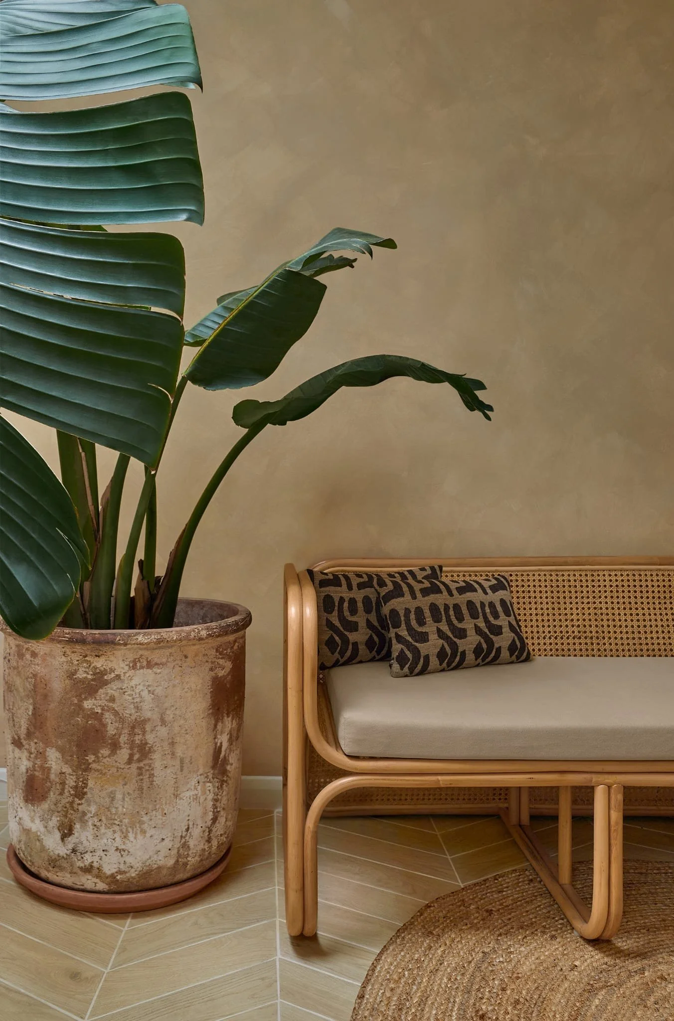 Large potted plant with broad green leaves next to a beige wicker bench with patterned cushions, on a tiled floor with a woven circular rug.