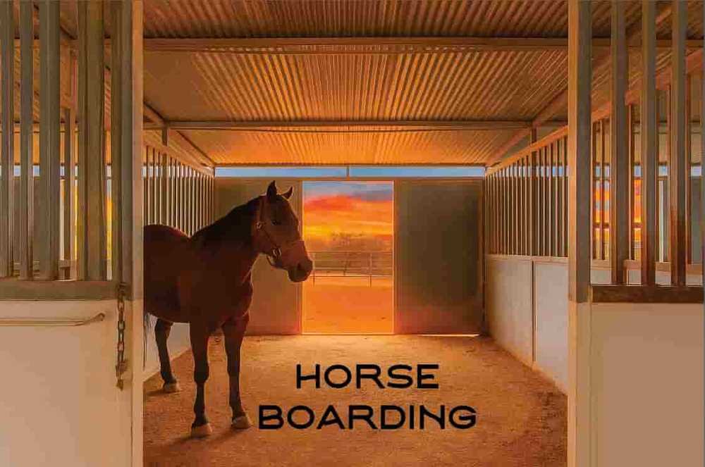 horse boarding.jpeg