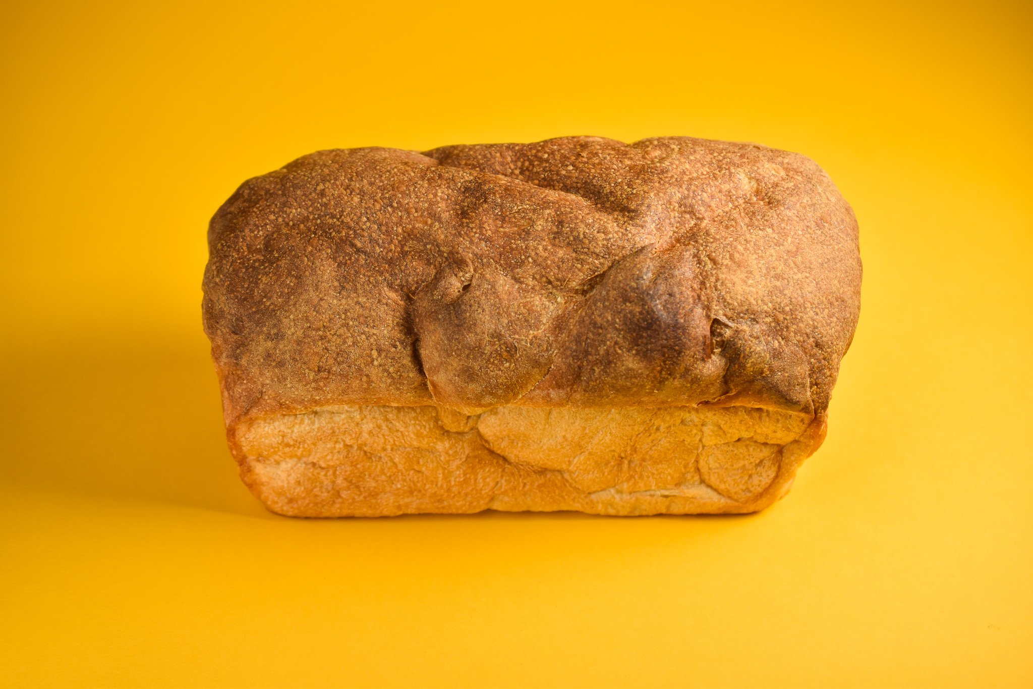 Wild-Rise_0002-Cinnamon-Raisin-Loaf.jpg