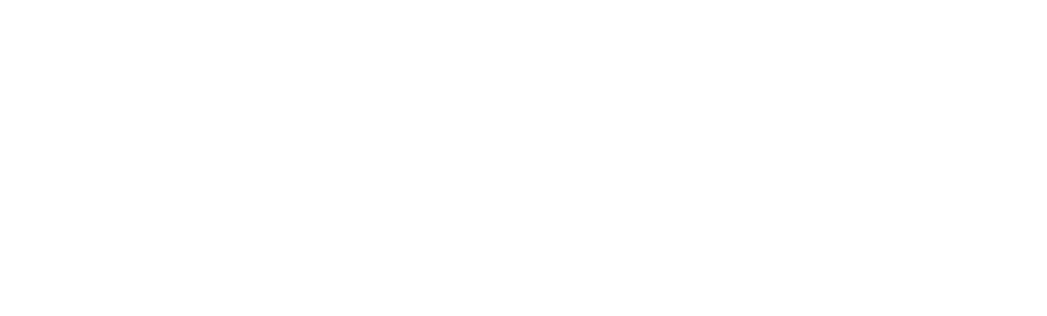 The Wild Rise Bagel Company
