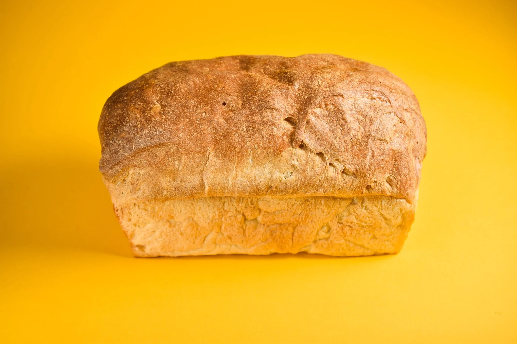 Wild-Rise_0002-Plain-Bagel-Loaf.jpg