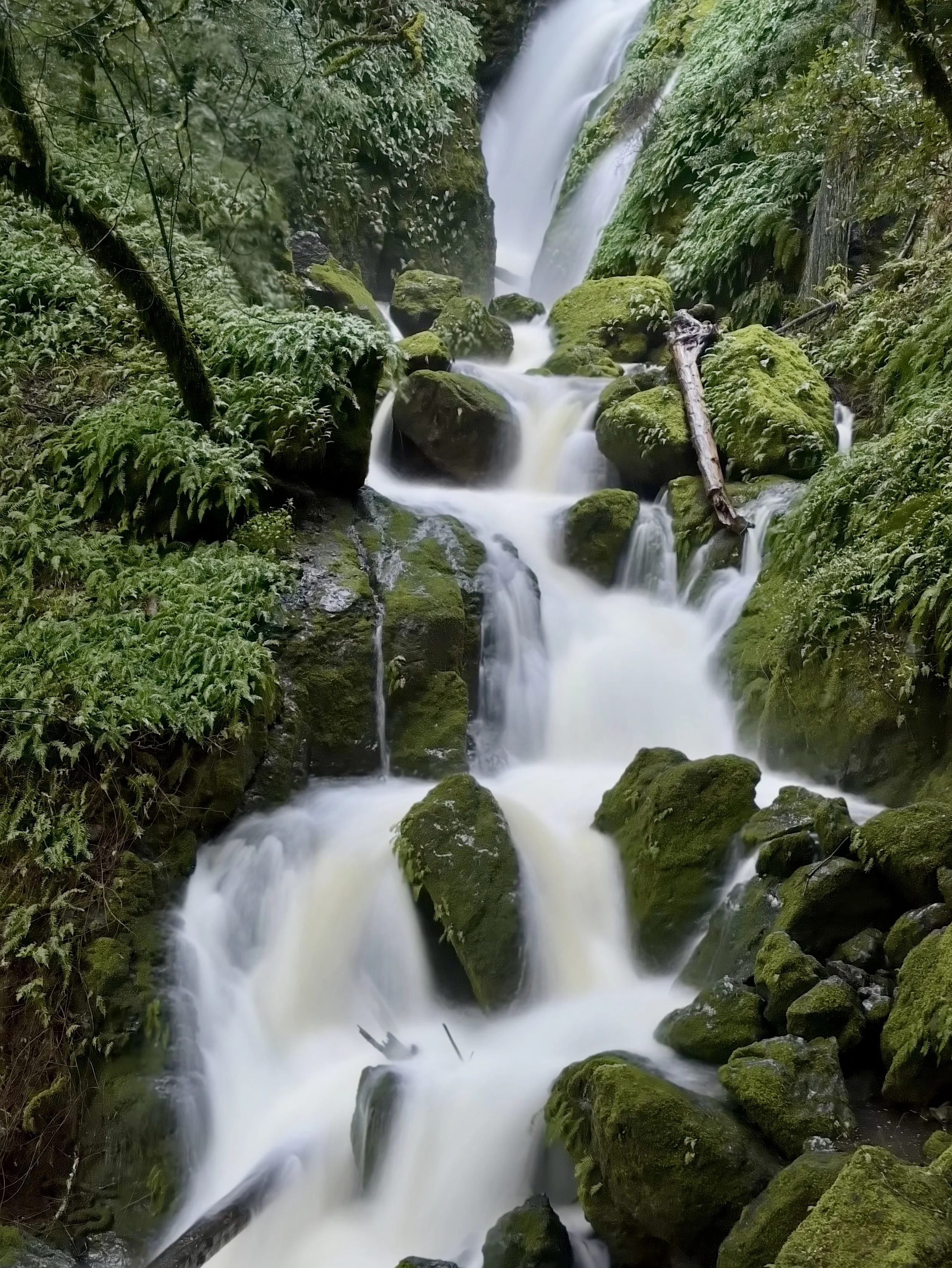 Flowing waterfall cascading over rocks in a lush green forest.