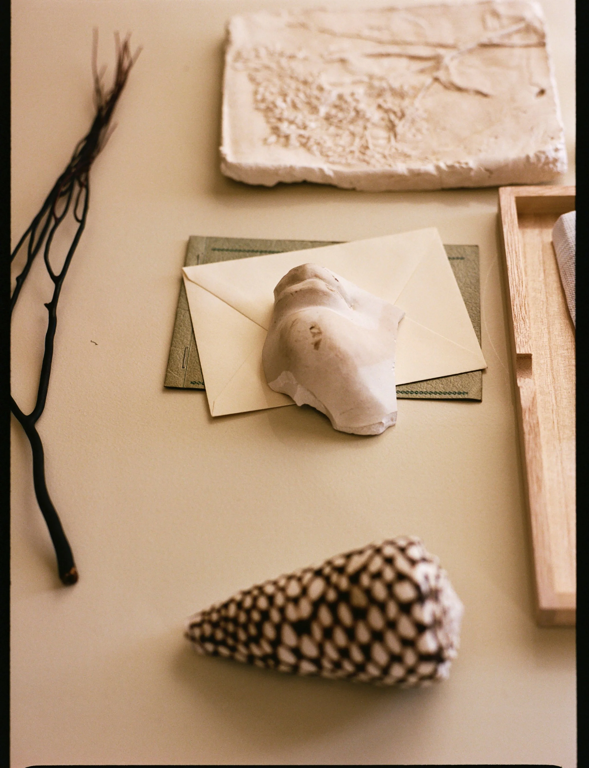 Tiny relics for the home. A shell, a fragment, a branch, a mystery. Summer is coming, which means it&rsquo;s almost the season for scattering beach detritus across every surface. 🐚🪸

📷: @sophiefabbri 
Prop styling: @sashaveryovka