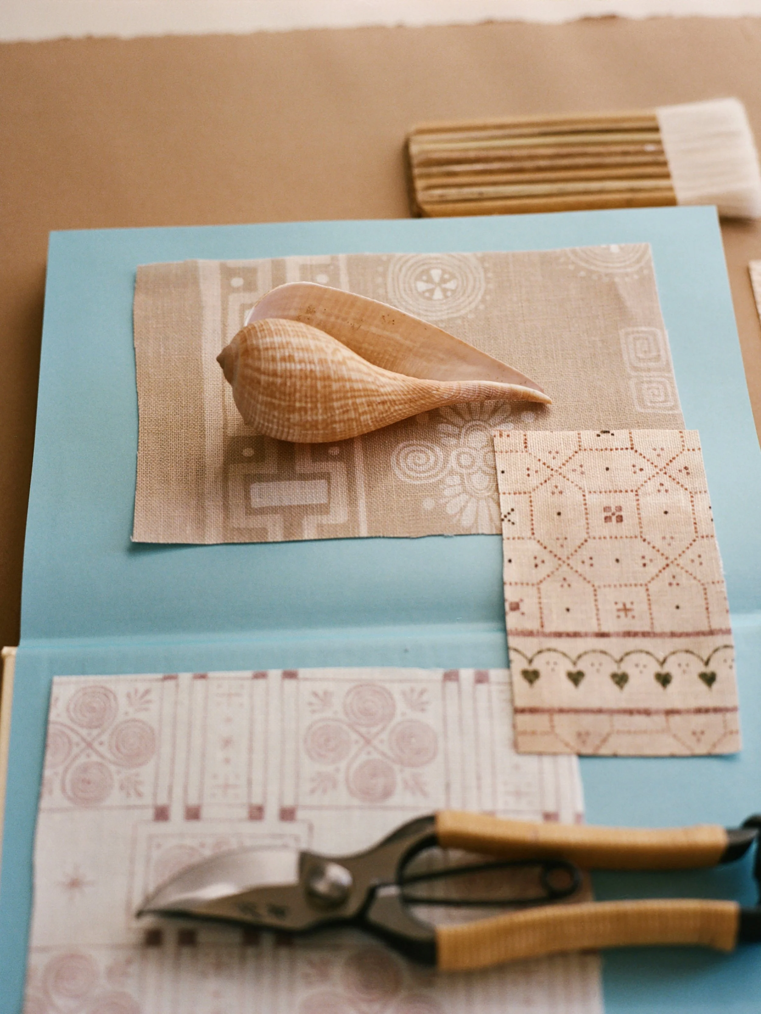 Shells in your pockets. Ideas in your notebook. Summer is a season for collecting.