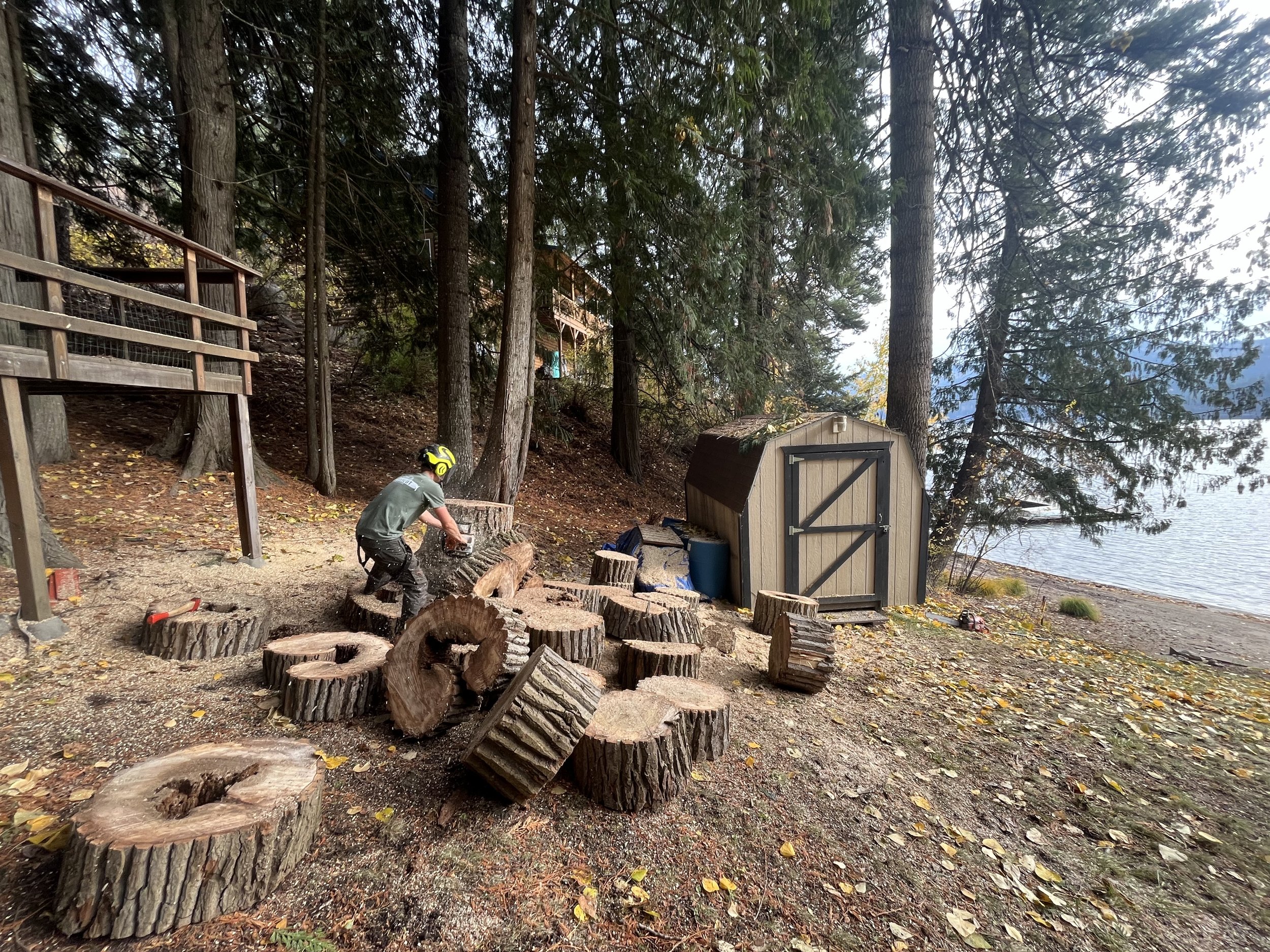 A person wearing a helmet is chopping wood outside near a lake, with trees, a small storage shed, and fallen leaves around.
