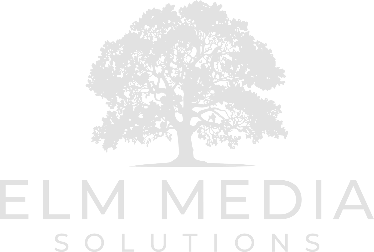 Elm Media Solutions - Joliet IL