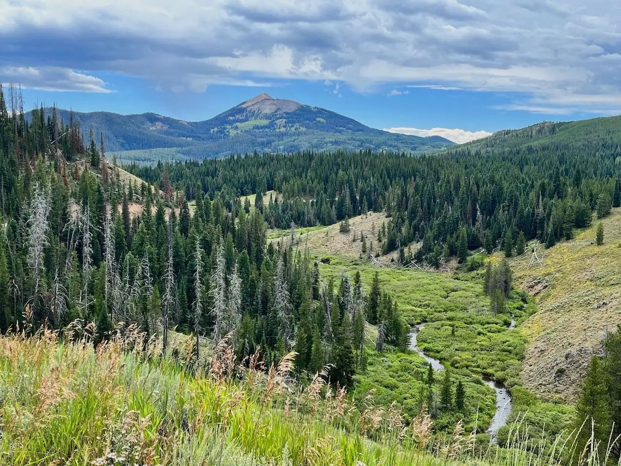 Worth Fighting For Routt County Meeting
