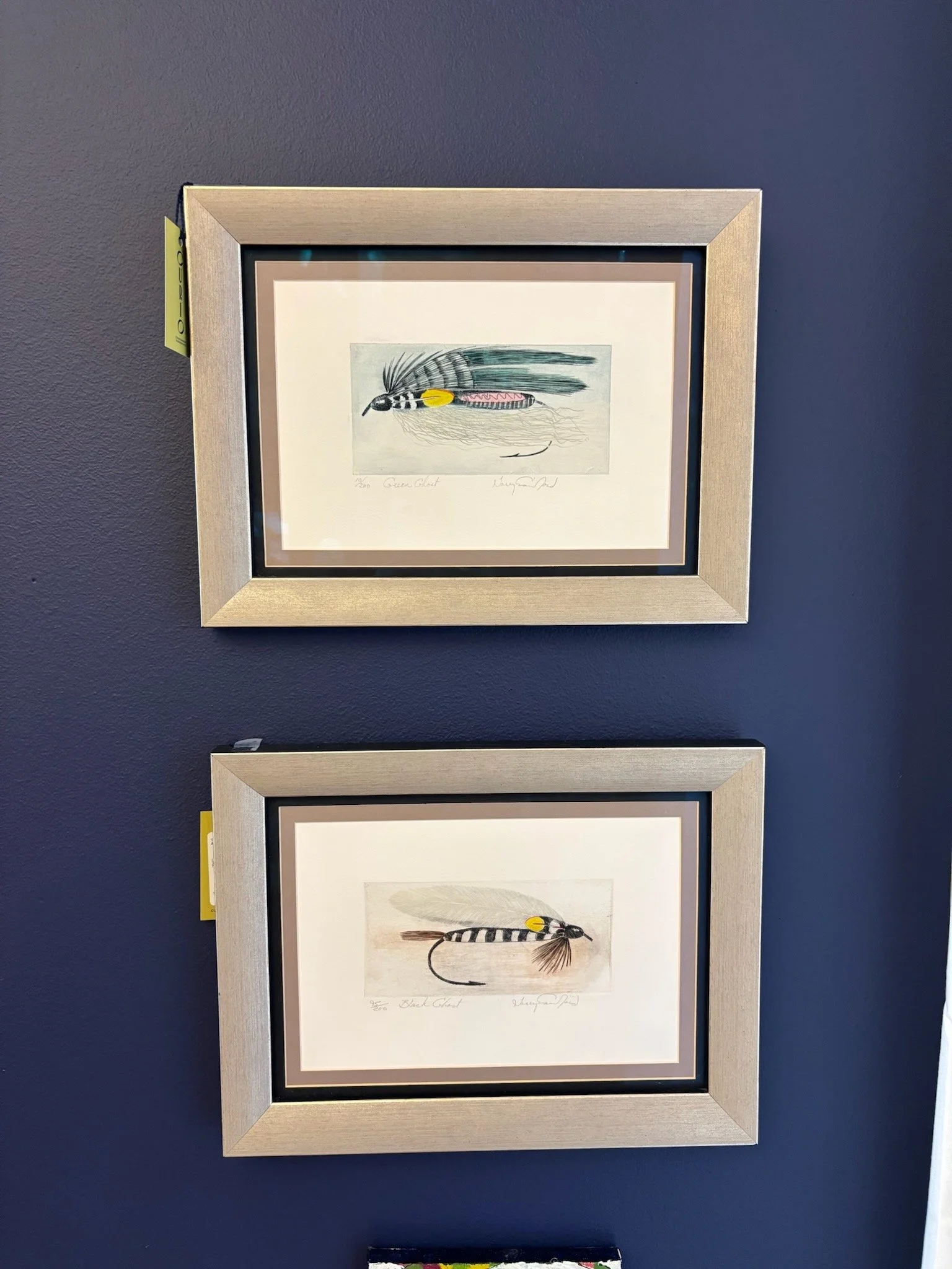 Two framed watercolor illustrations of feathered insects on a dark blue wall. The top frame depicts a black and white insect with yellow and pink accents, while the bottom frame shows a similar insect with a different color pattern.