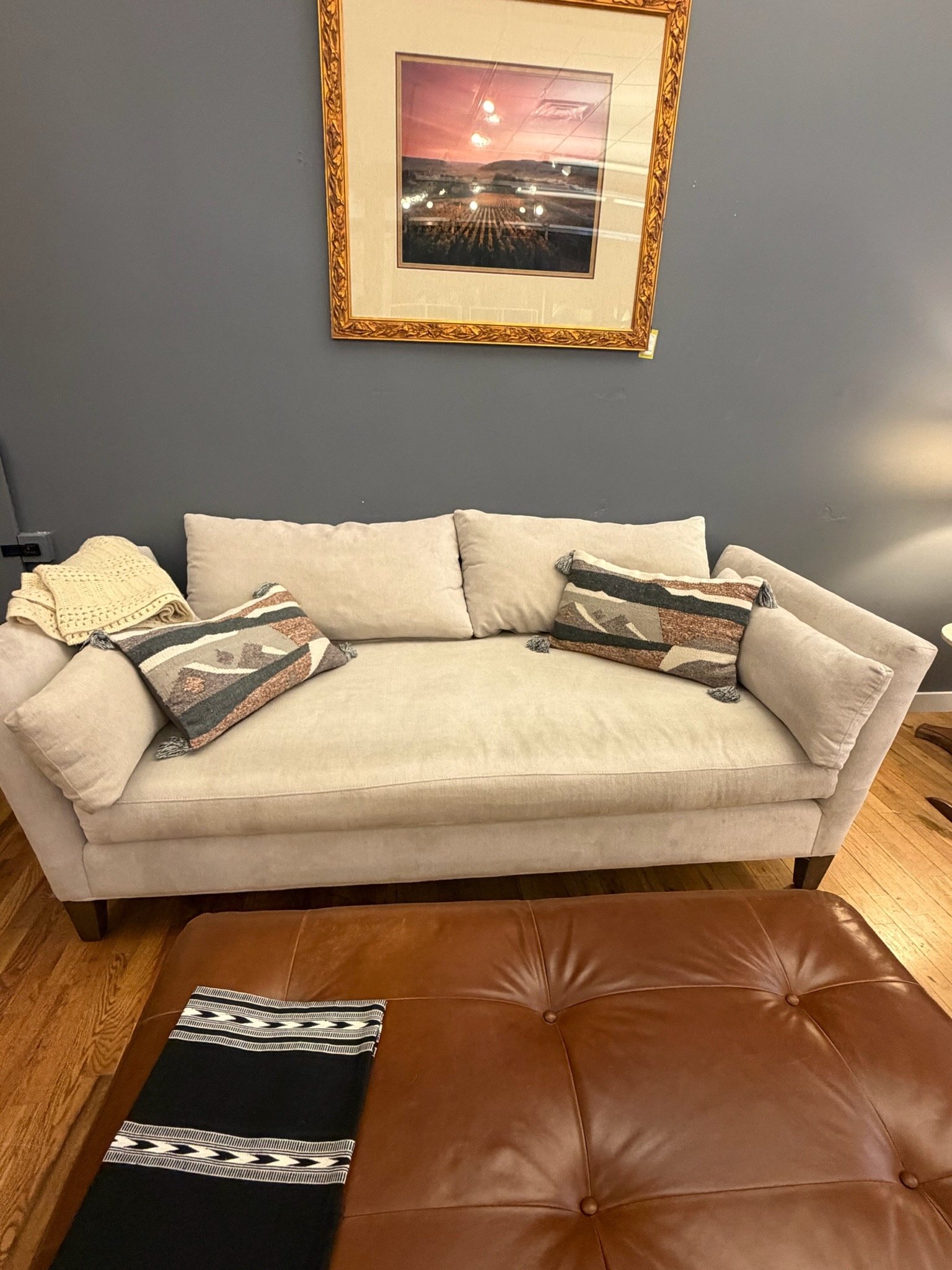 Crate & Barrel Pacific Daybed