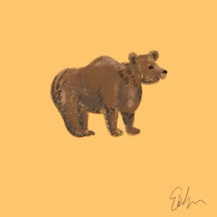 Practiced drawing a bear from reference photos! I don't have much experience with sketching different poses, so this was a fun introduction. 
🧸🧸🧸🧸🧸🧸🧸🧸🧸🧸🧸🧸🧸🧸😊

#procreate #procreateart #animaldrawing #animaldrawings #figuredrawing #draw