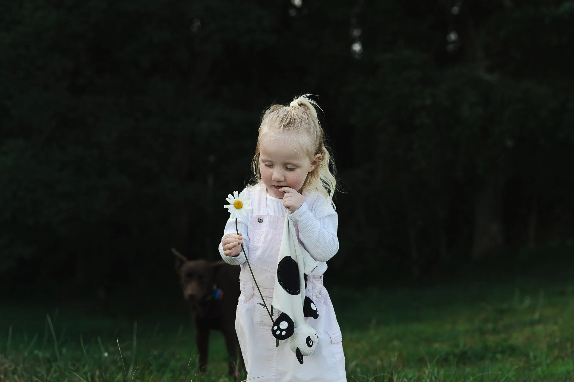 amymaycreative_Holland-Kearins Family-01.jpg