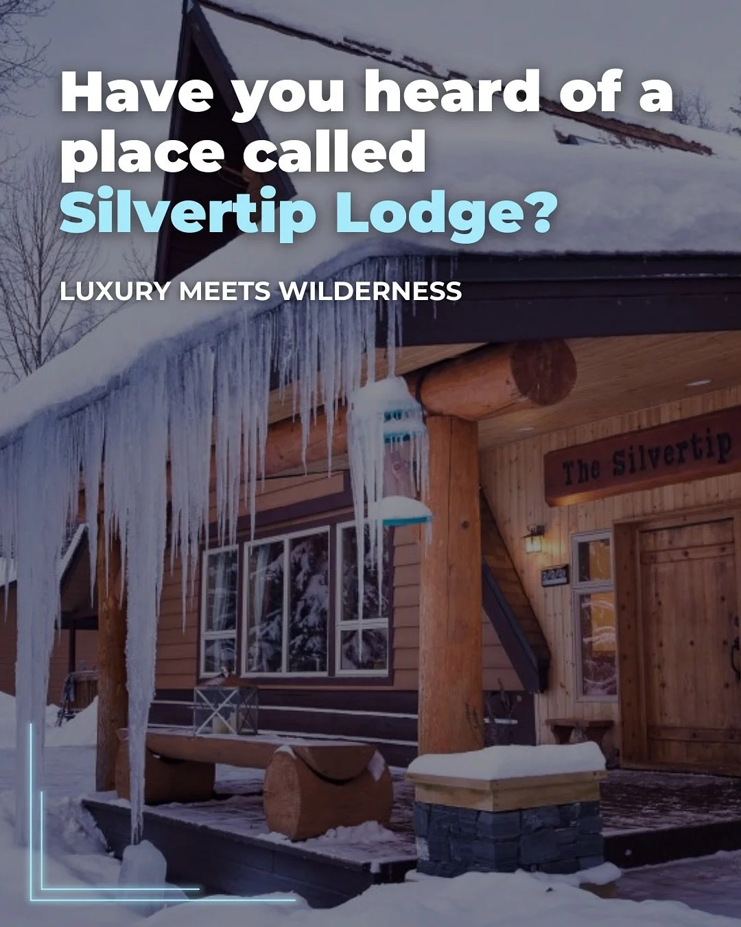 Heli-Skiing in Remote BC Wilderness 🚁 
At the eastern edge of Quesnel Lake, Silvertip Lodge offers an exclusive heli-skiing experience from a private 14-acre retreat deep in British Columbia’s Cariboo Mountains.
Luxury Meets Wilderness 🌄
Thi