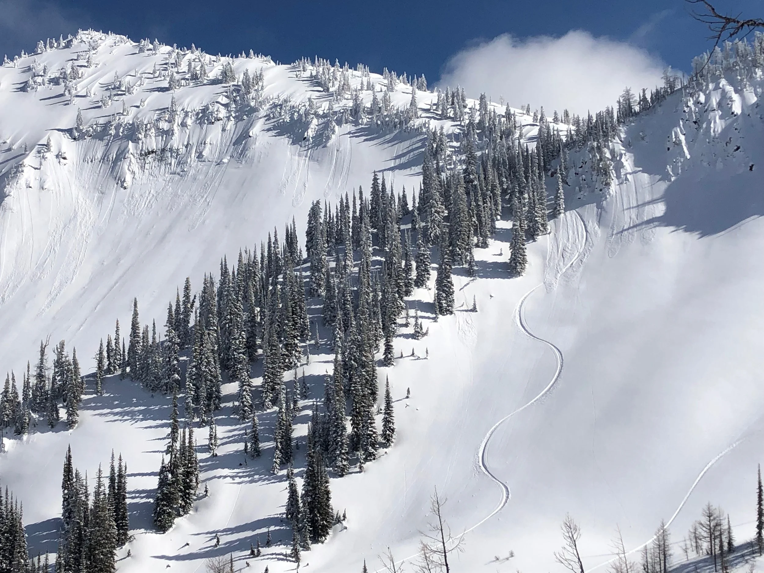 Snow-covered mountain slope with ski tracks and tall evergreen trees under a partly cloudy sky.