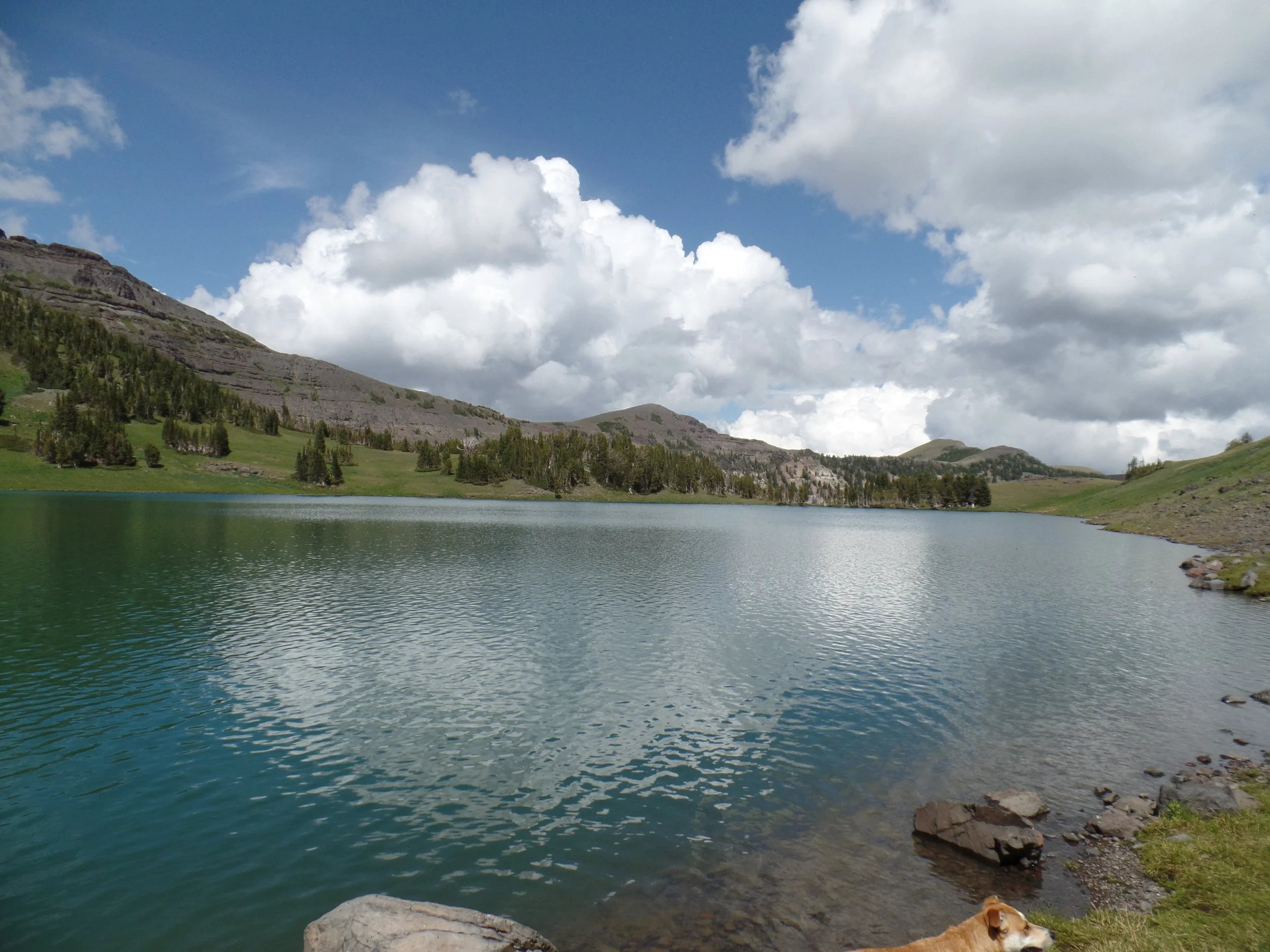 Mountain lake with clear water, surrounded by green hills, trees, and rocky slopes under a cloudy blue sky.