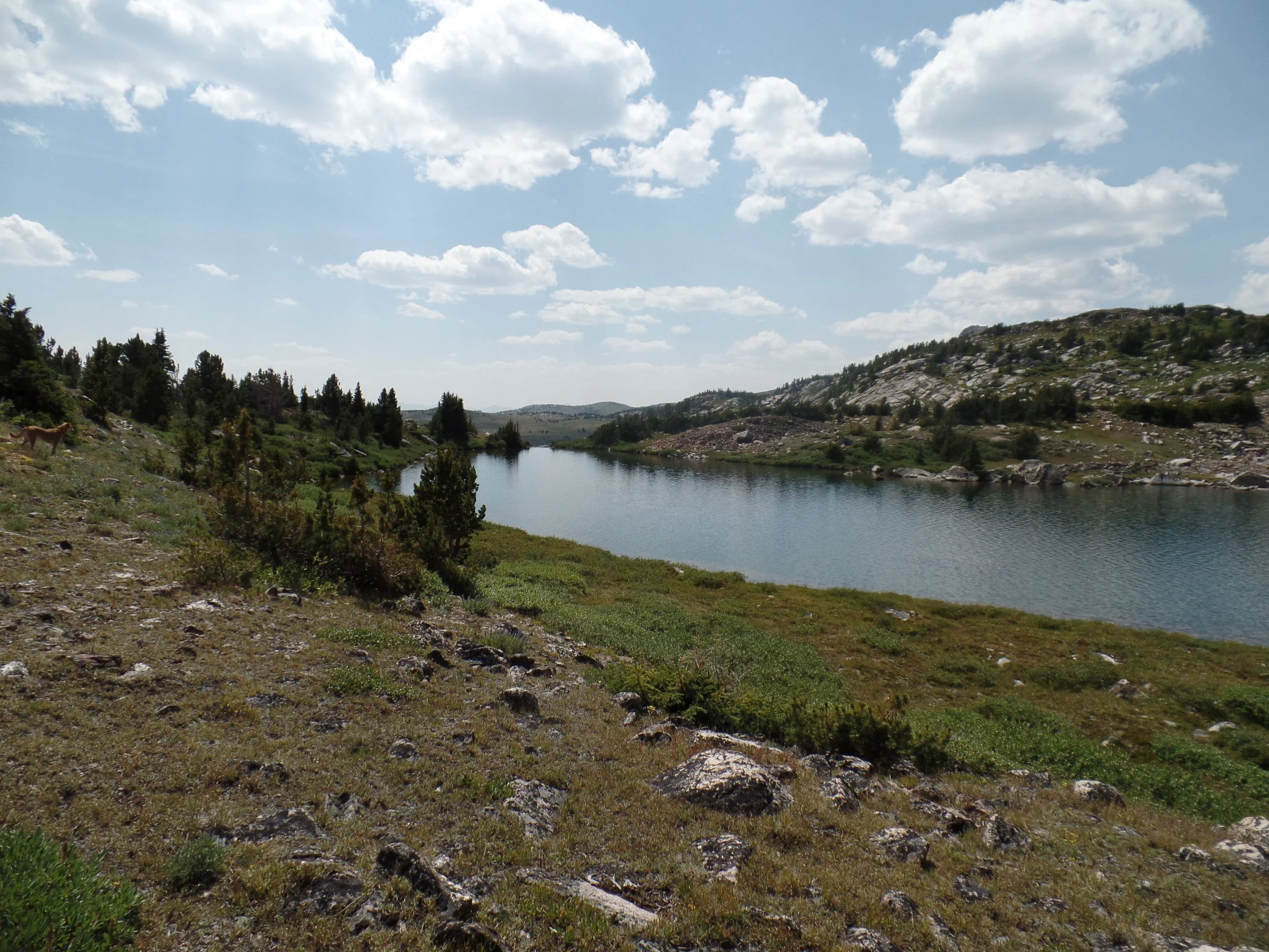 Scenic view of a grassy hill beside a tranquil lake with scattered trees and a partly cloudy sky.