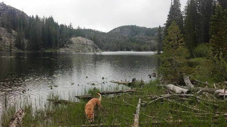 Vernon Lake