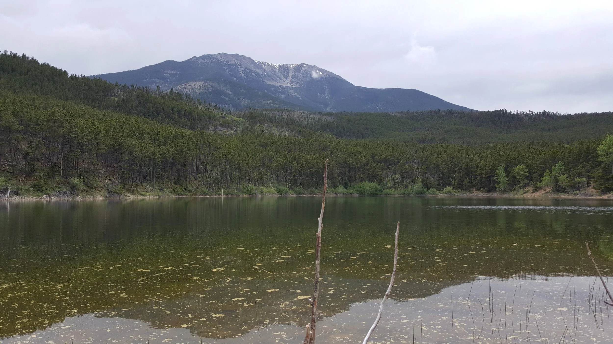 Lilly Pad Lake