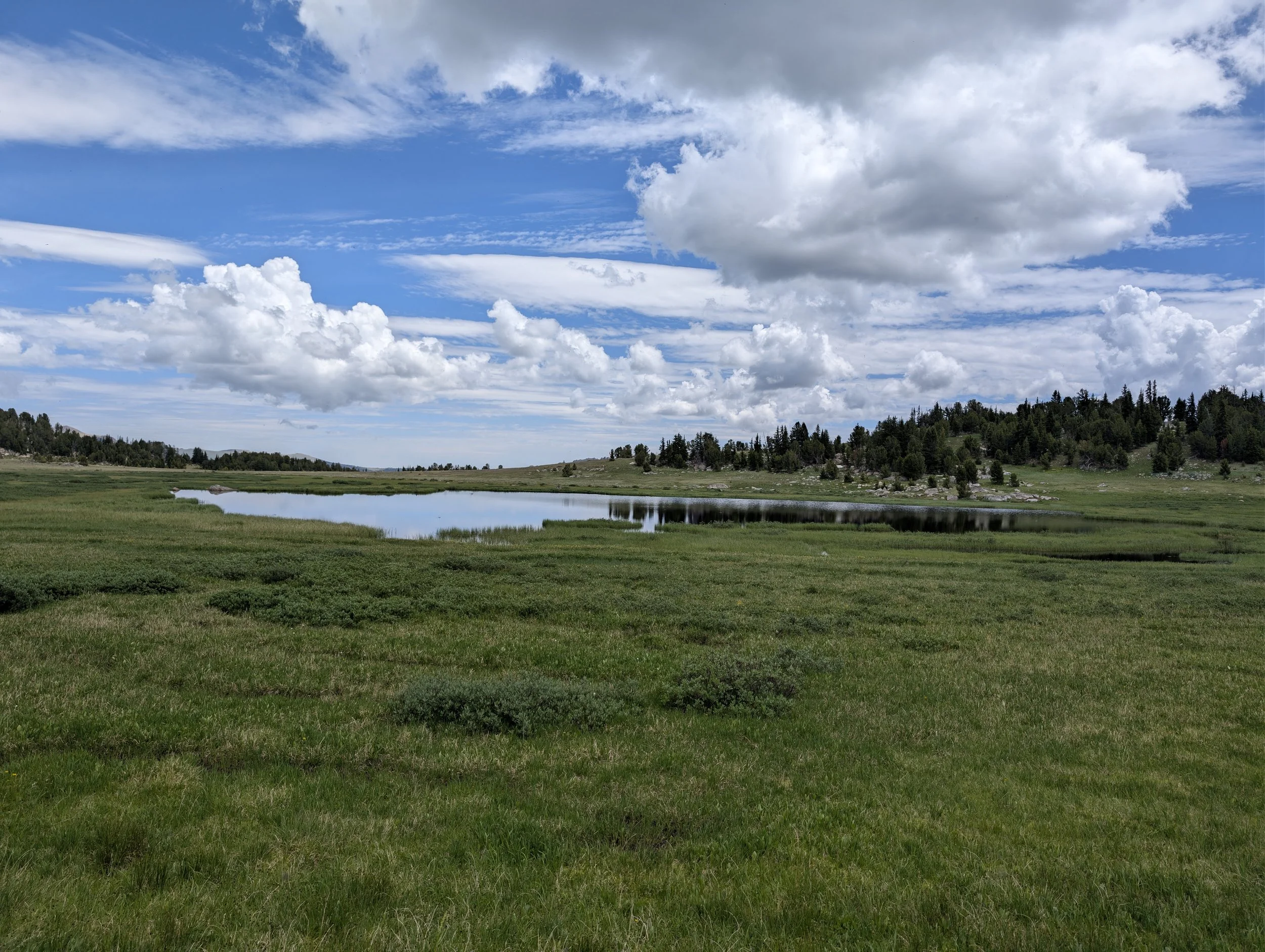Meadow Lake