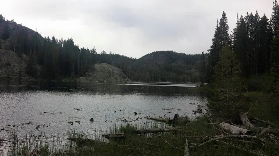 Reed Lake (Lower Vernon)