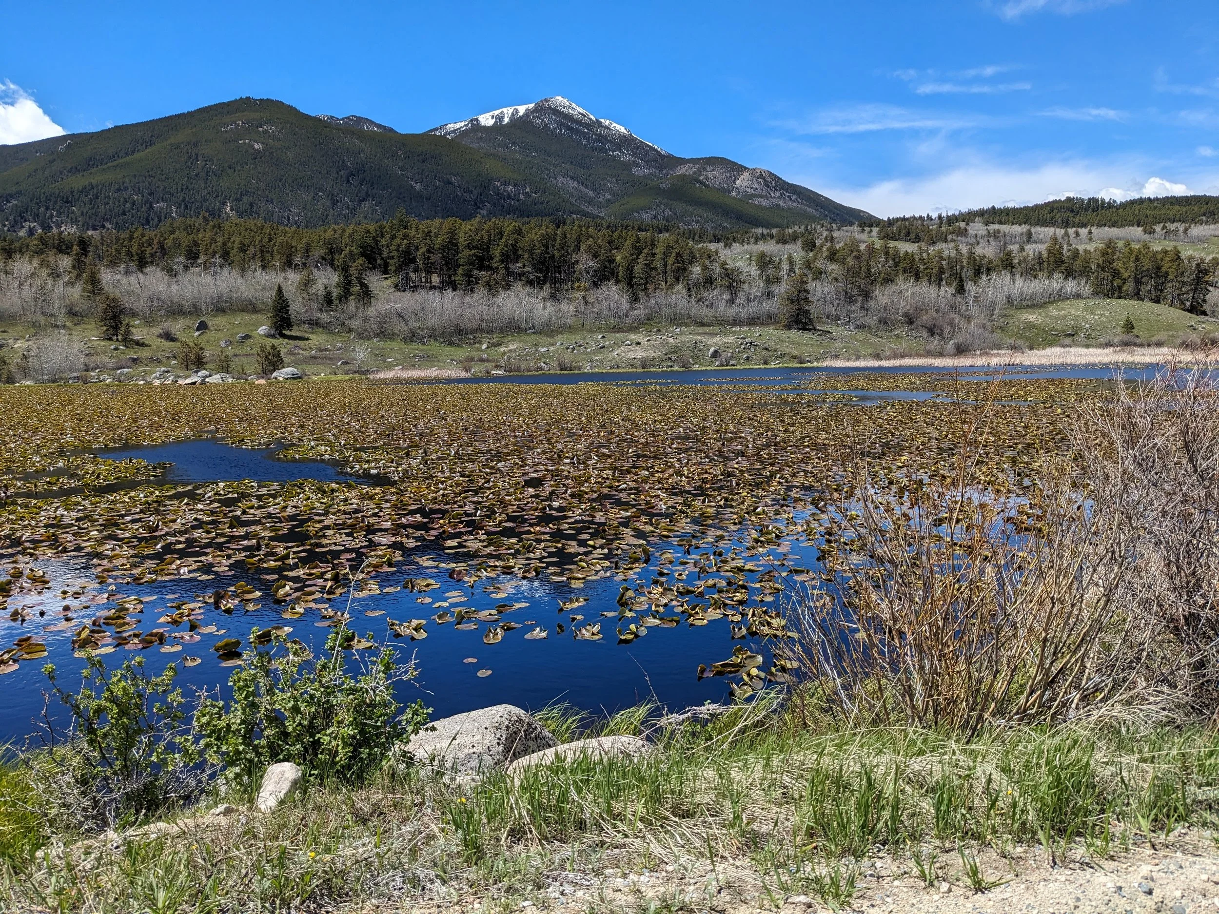 Reeves Lake