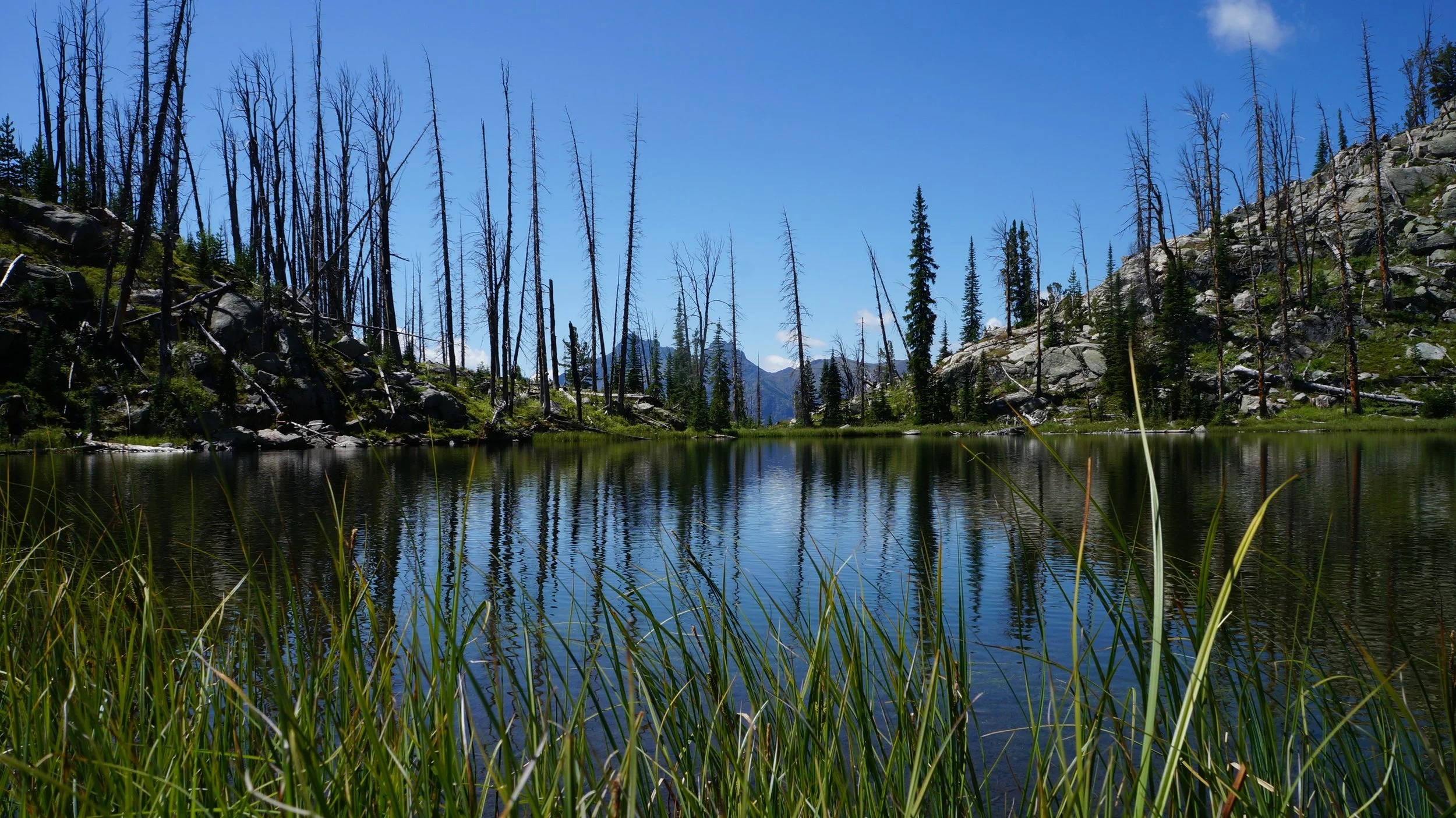 Dollar Lake