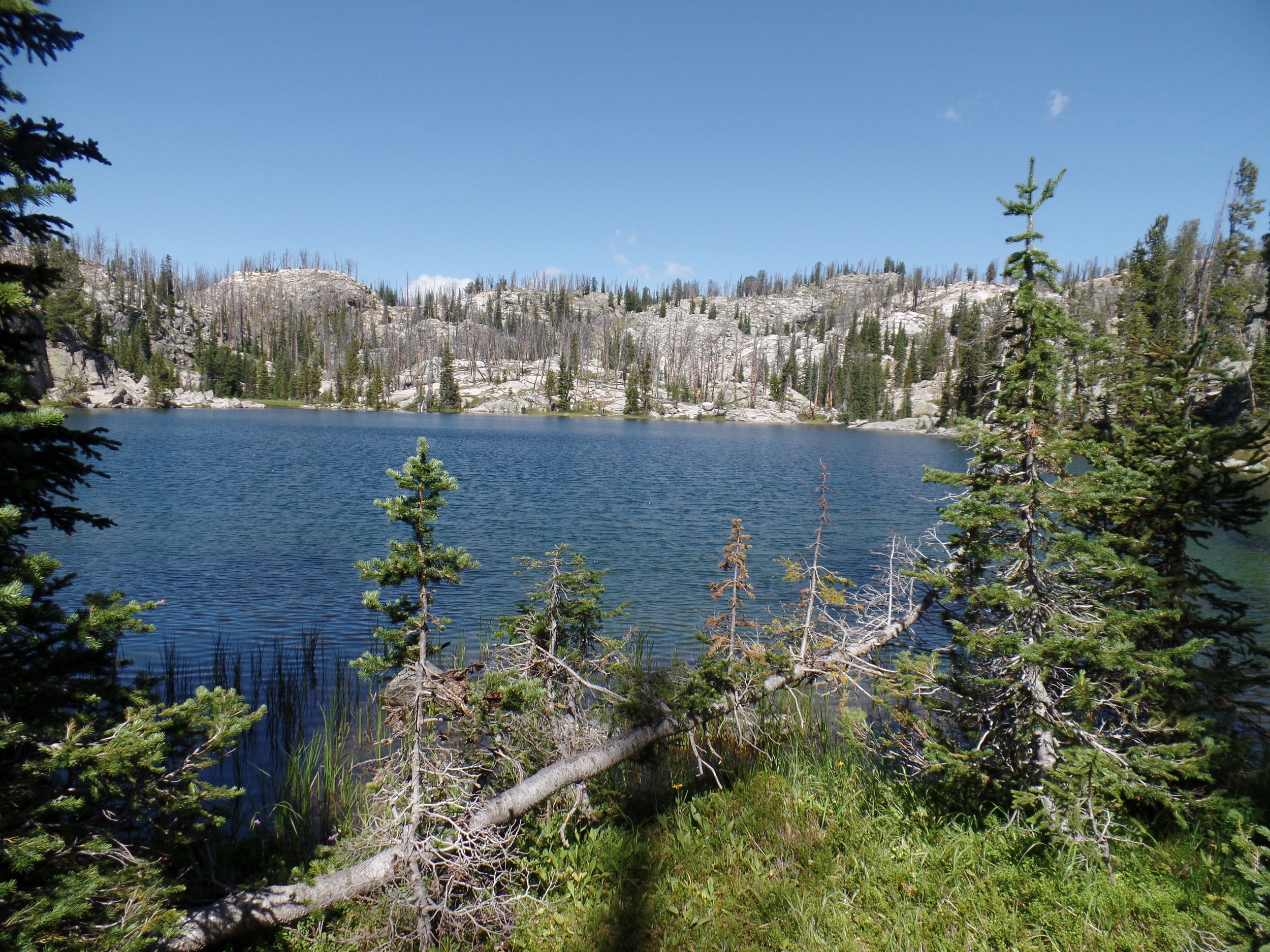 Sedge Lake