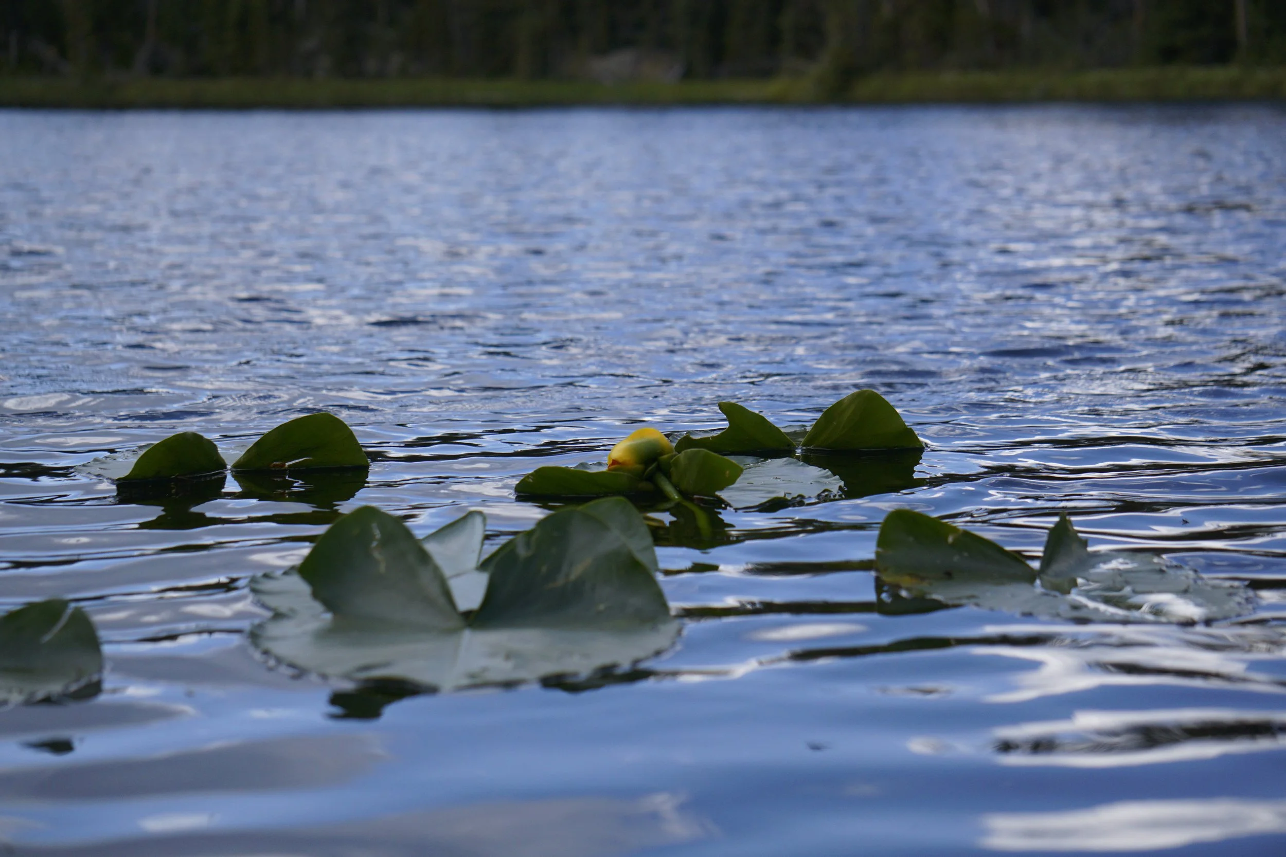 Teardrop Lake